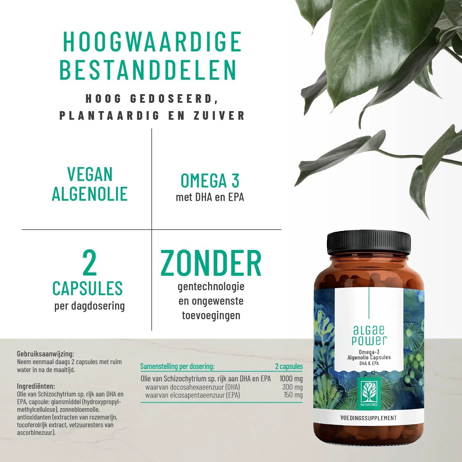 Algae Power: Omega 3 algenolie capsules - Image 2