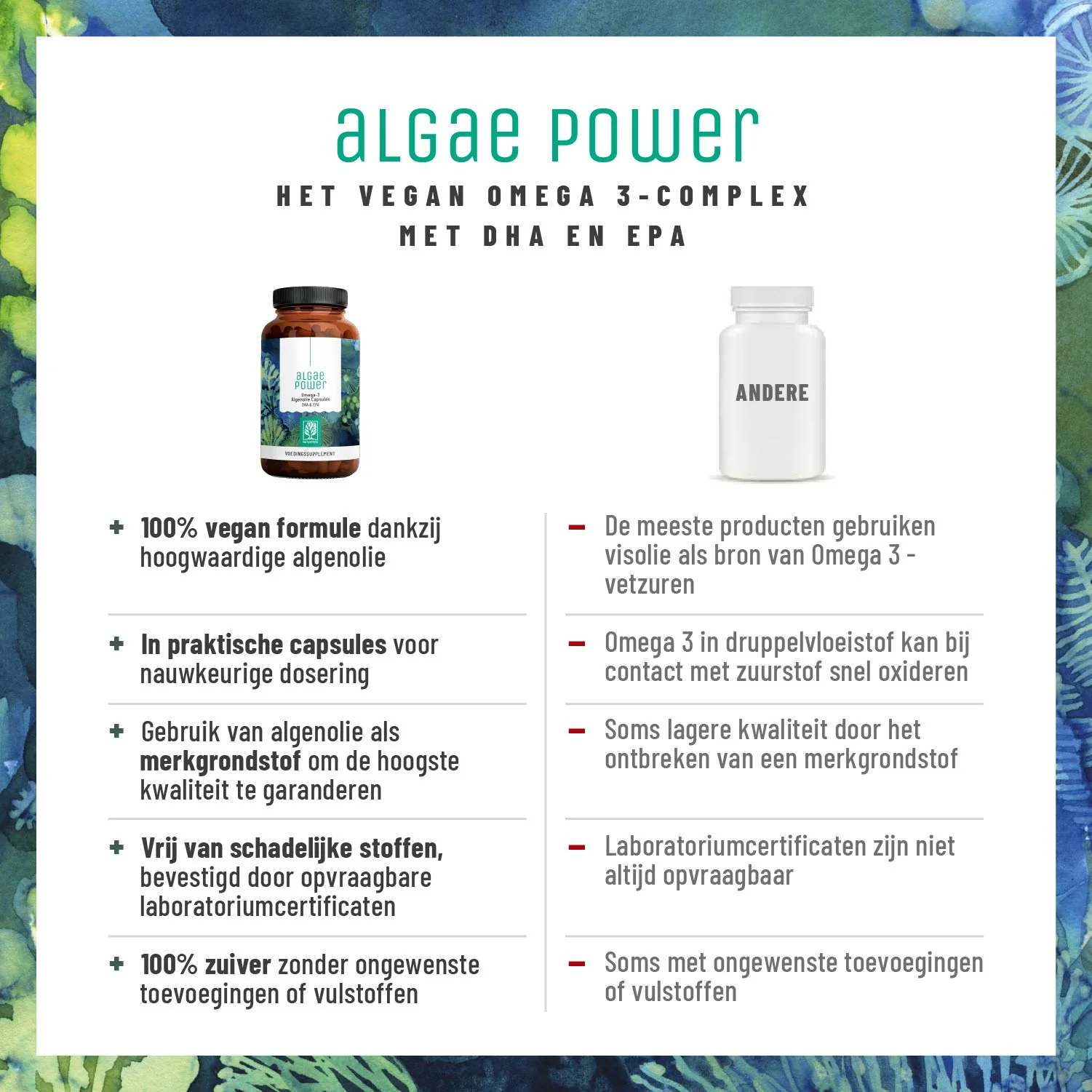 Algae Power: Omega 3 algenolie capsules - Image 4