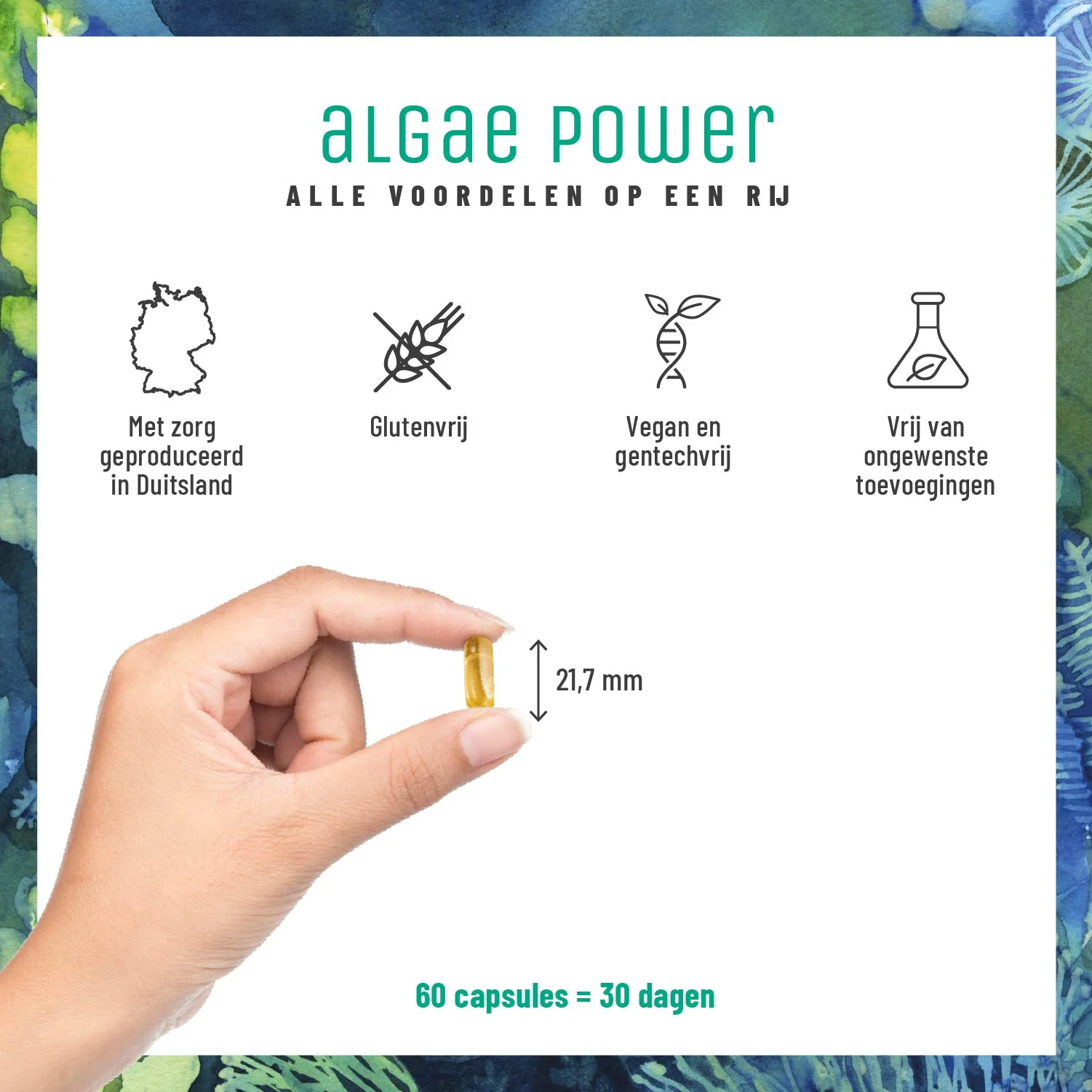 Algae Power: Omega 3 algenolie capsules - Image 6