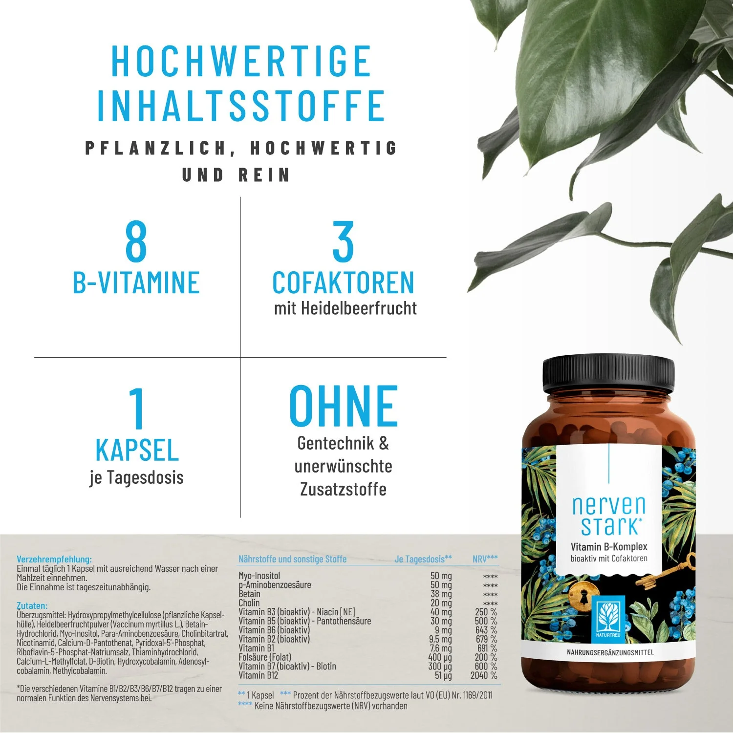 Alltagsheldin Paket: Beauty- & Mönchspfeffer Komplex mit Vitamin B hochdosiert - Image 3