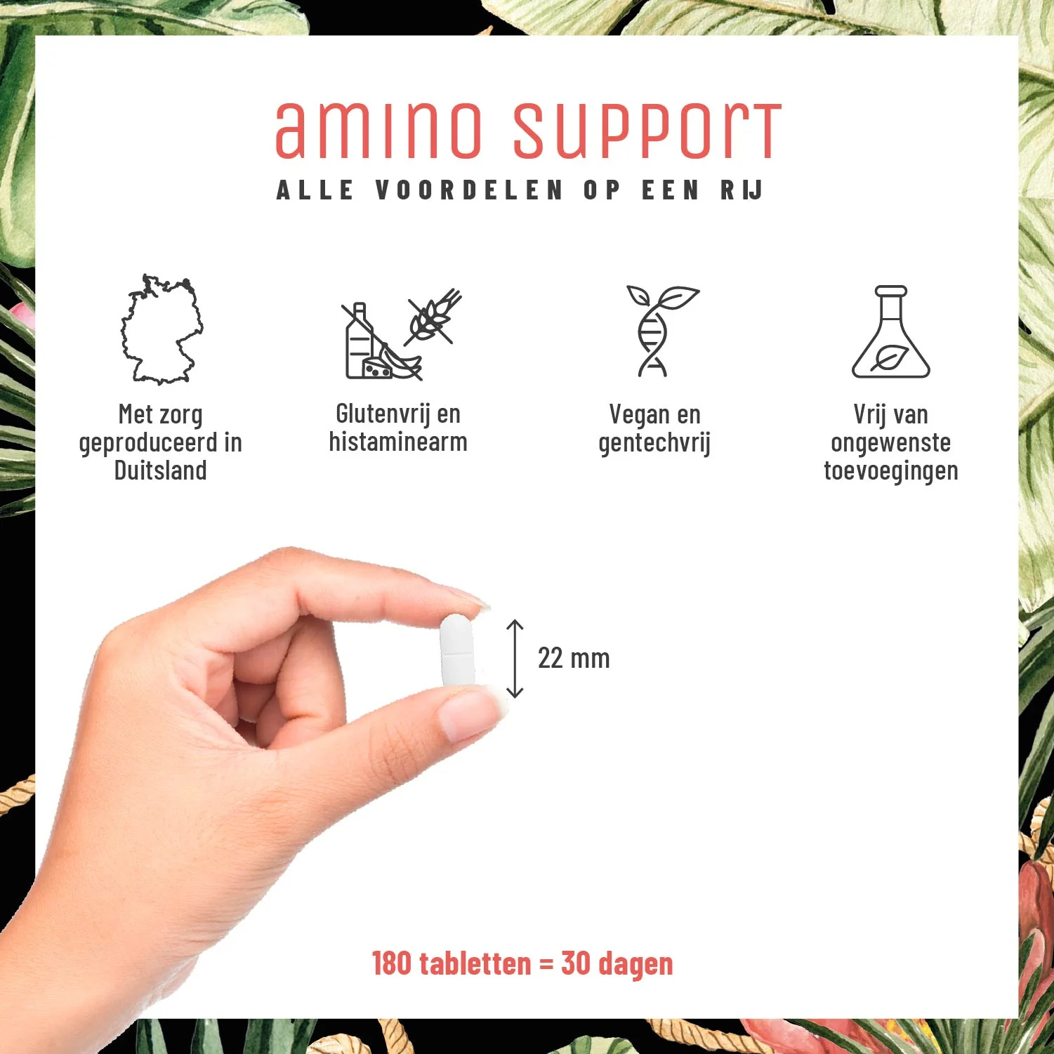 Amino Support: Aminozuurcomplex - Image 8