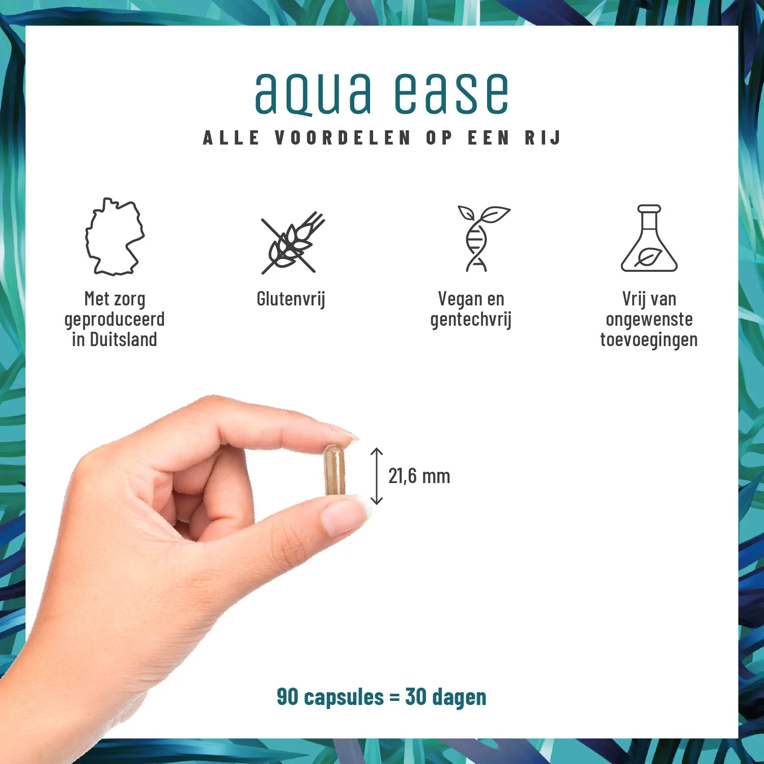 Aqua Ease: Brandnetelbladcomplex - Image 6