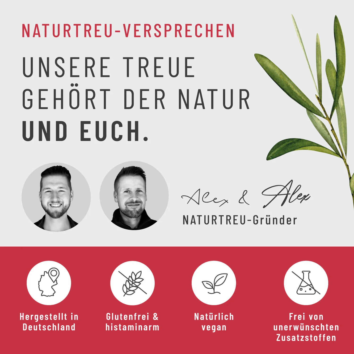 Meeresschild: Astaxanthin Tropfen hochdosiert - Image 8
