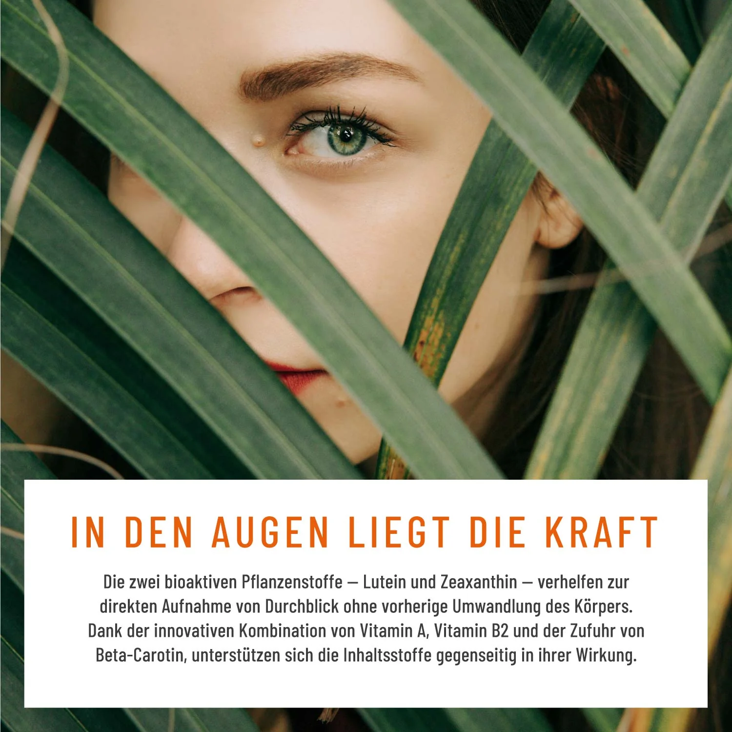 Durchblick: Augenvitamine mit Lutein und Vitamin A - Image 4