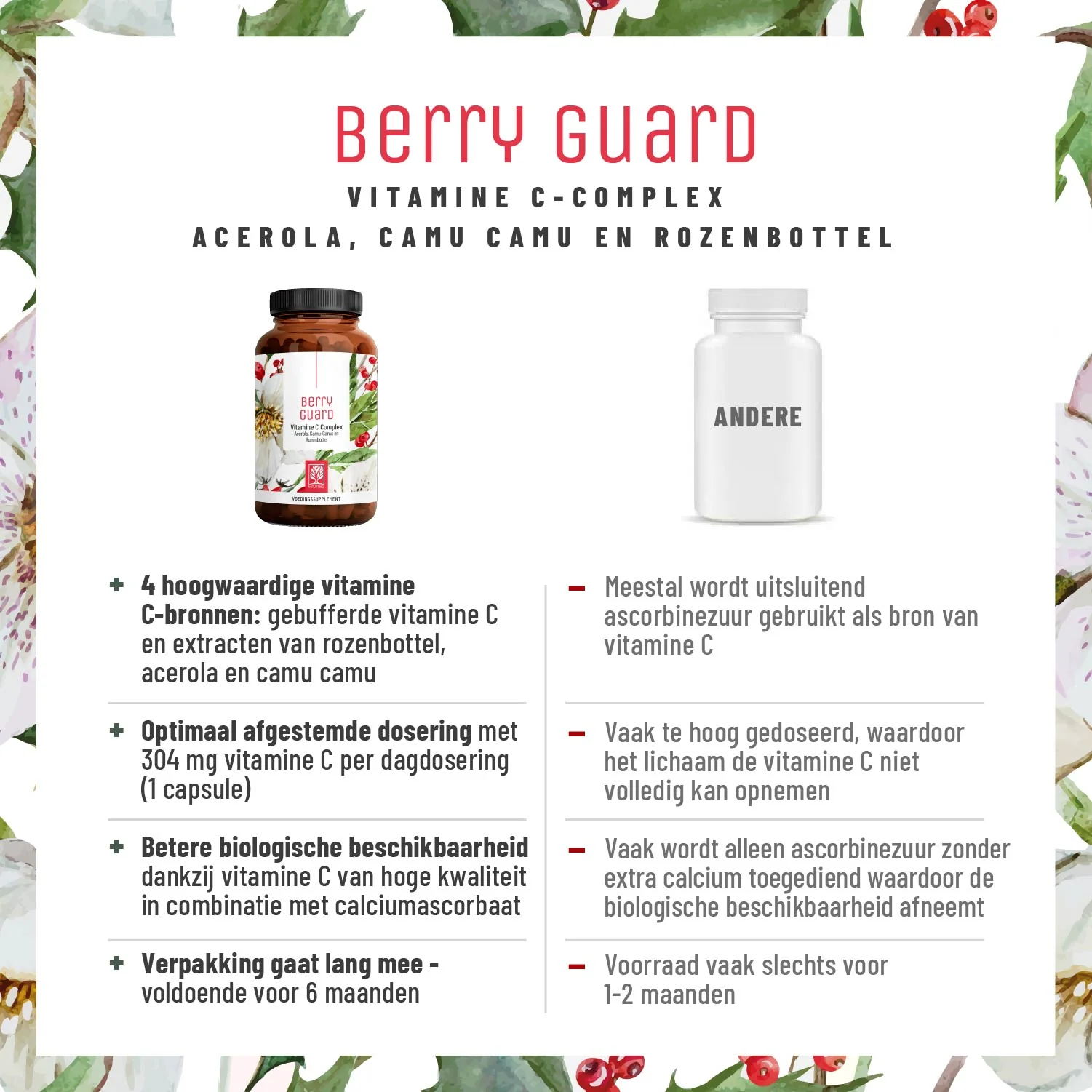 Berry Guard: Vitamine c complex - Image 4