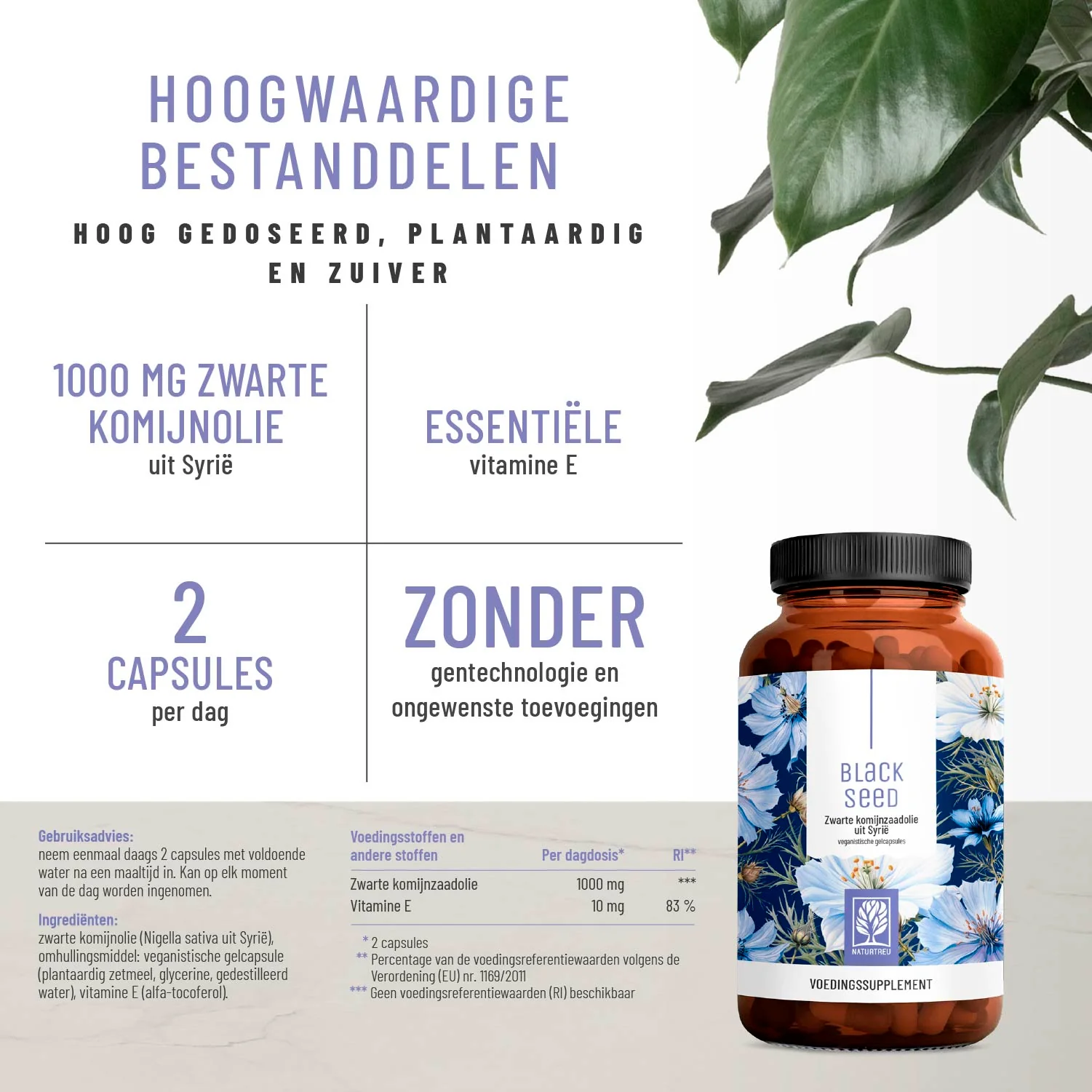 Black Seed: Zwarte-komijnolie uit Syrië - Image 2