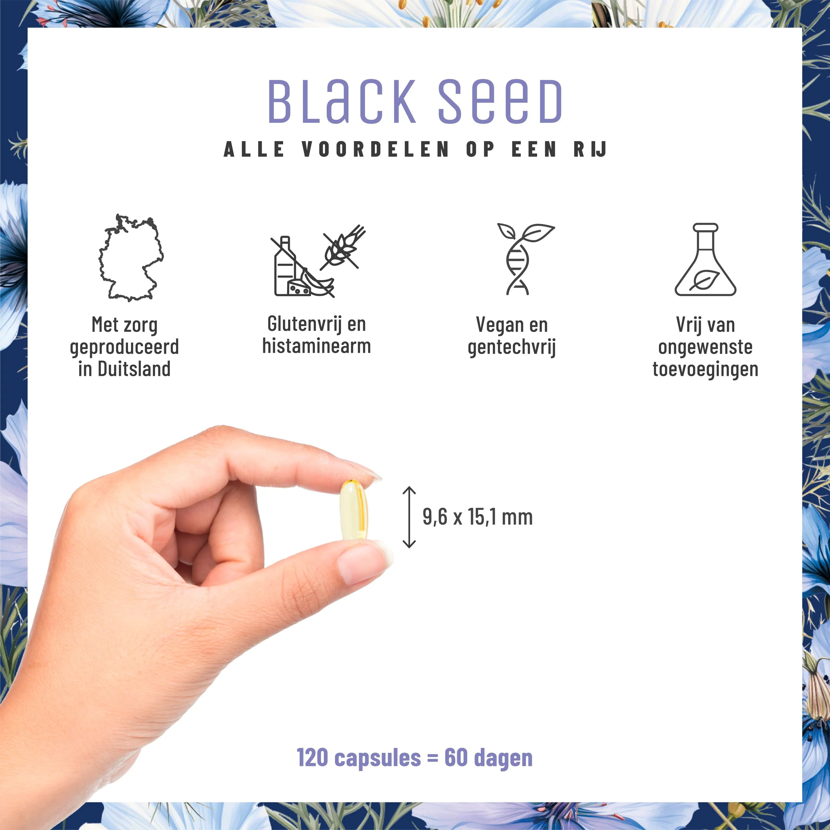 Black Seed: Zwarte-komijnolie uit Syrië - Image 7