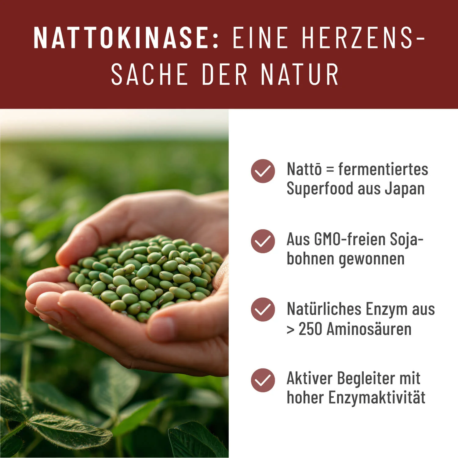 Blutfluss: Nattokinase-Komplex mit Arginin und Citrullin - Image 6