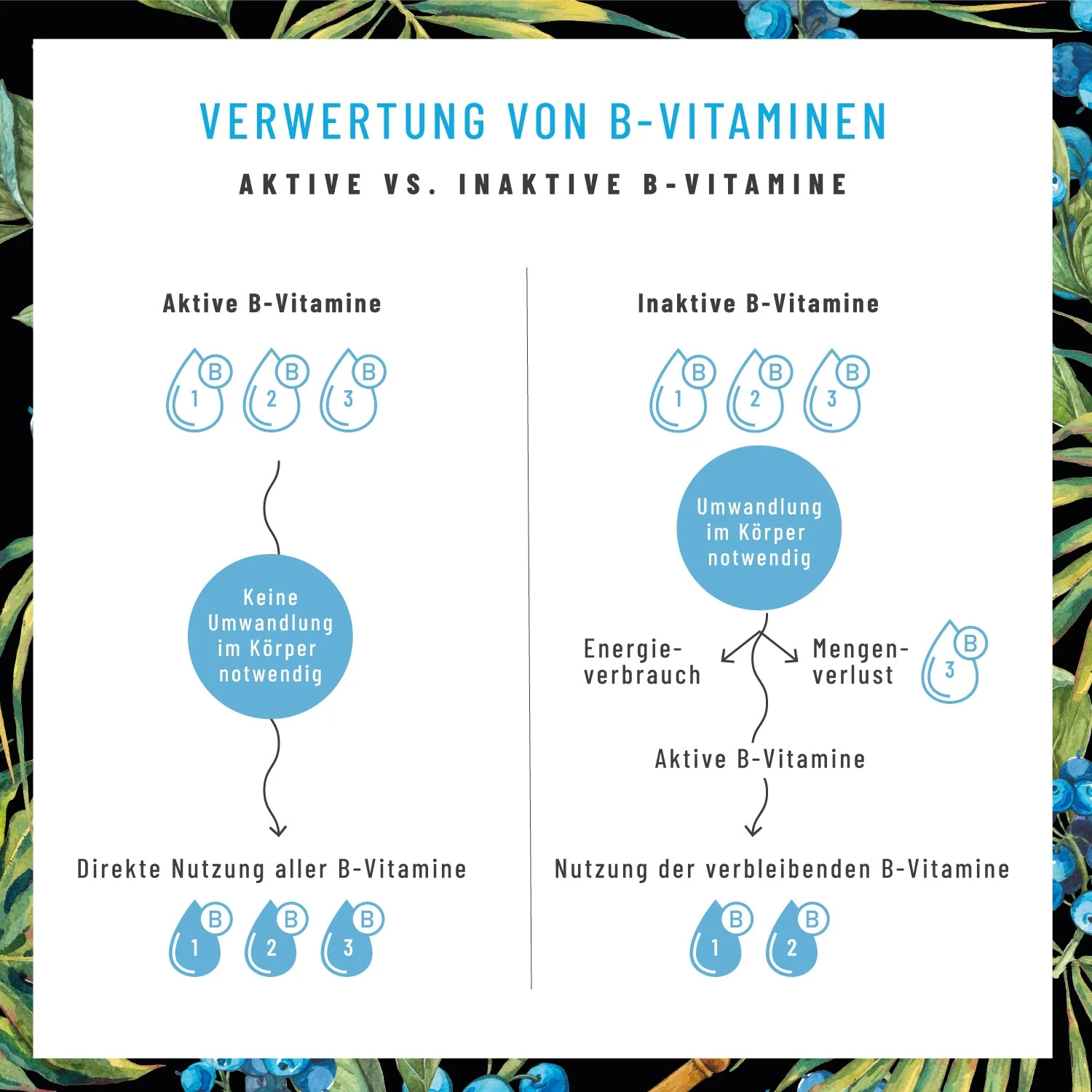 Blutkraft Nervenstark Paket - Image 4