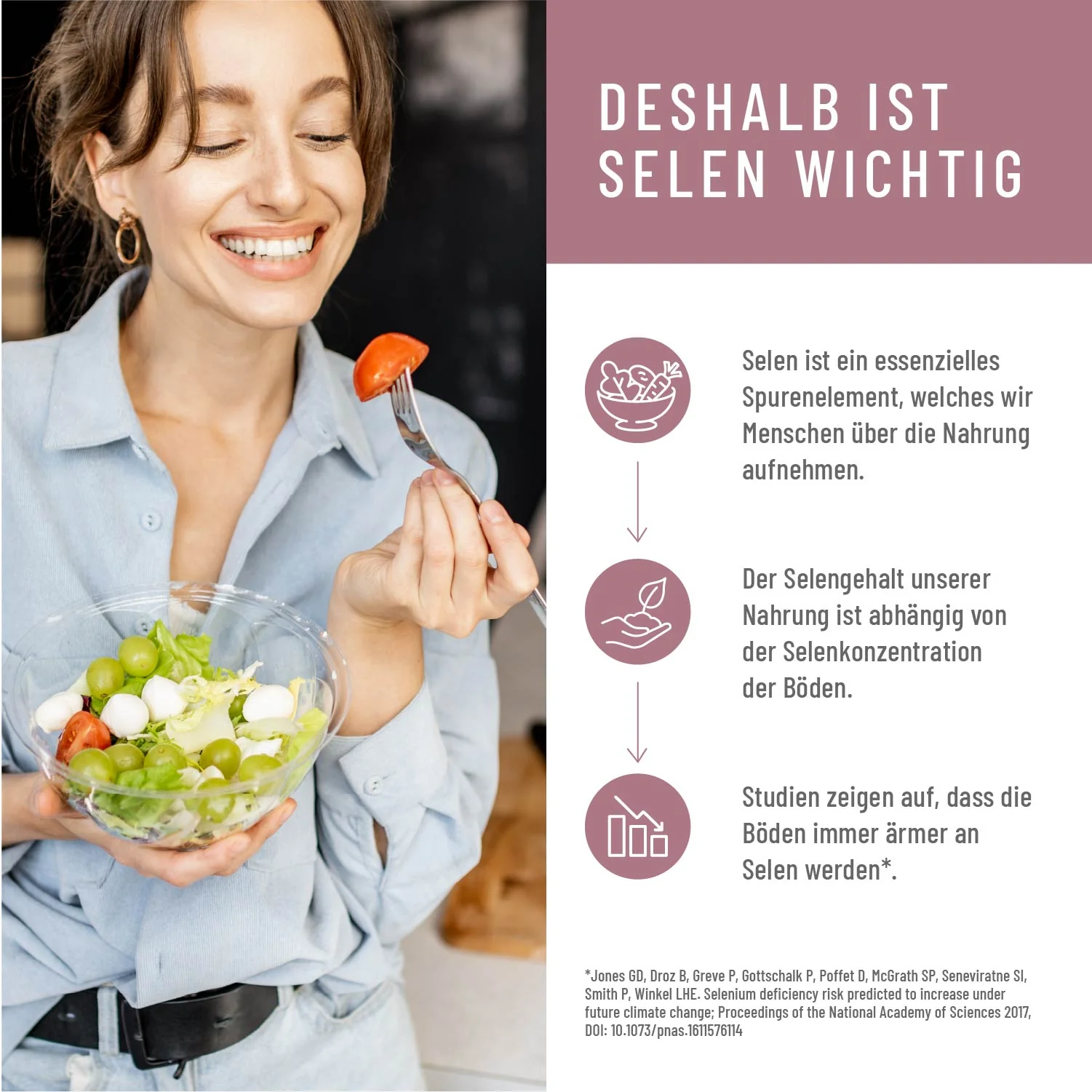 Bodenschatz: Selen-Presslinge - Image 6