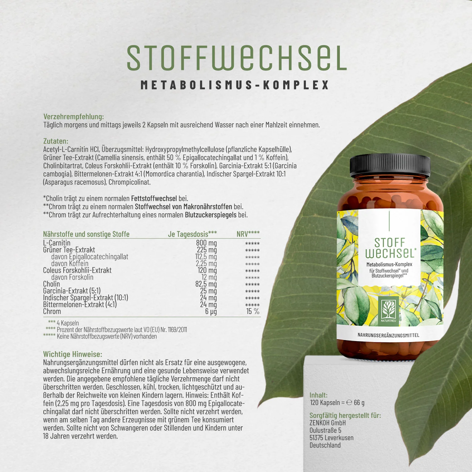 Stoffwechsel: Metabolismus-Komplex für Stoffwechsel* und Blutzuckerspiegel** - Image 10