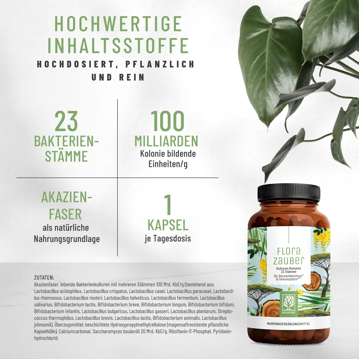 Flora-Kur-Paket - Image 3