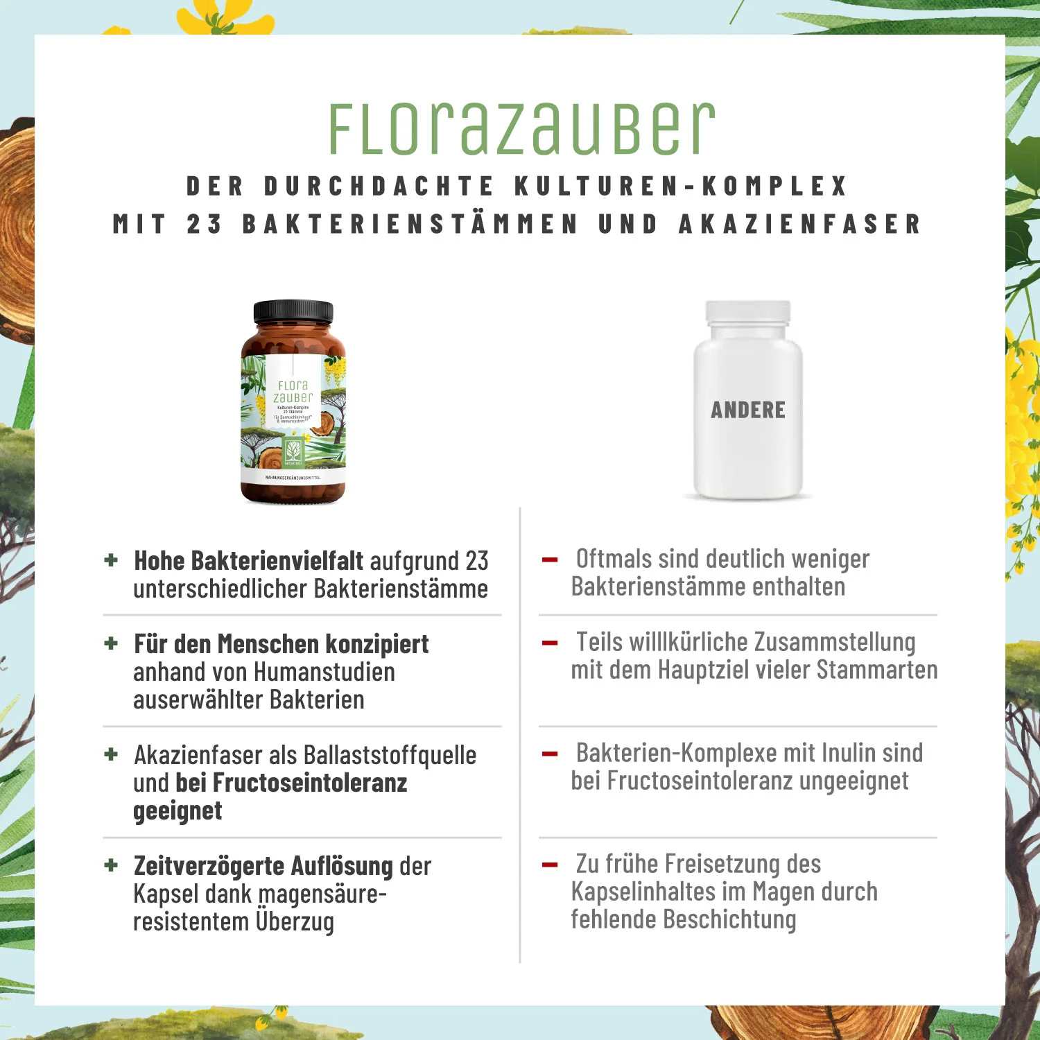 Flora-Kur-Paket - Image 5