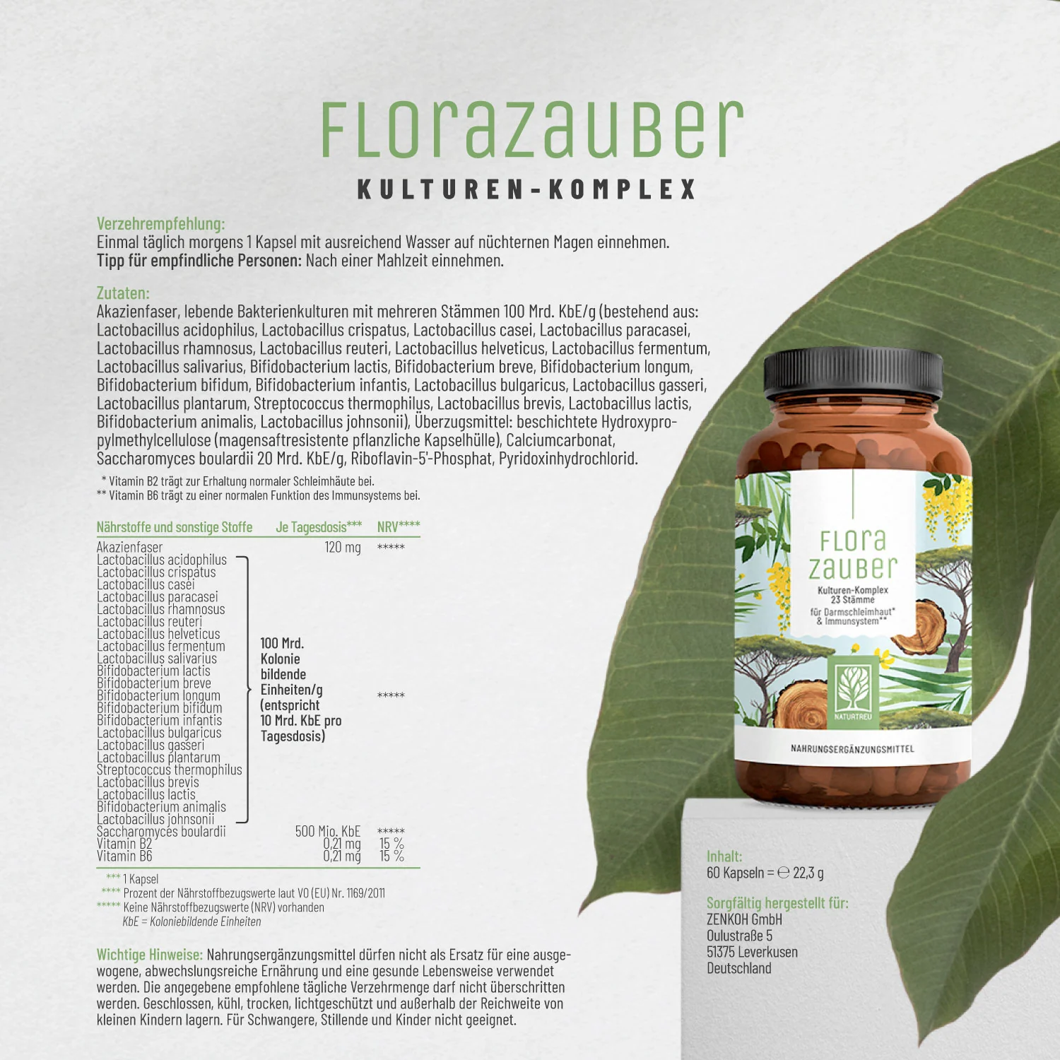 Flora-Kur-Paket - Image 8