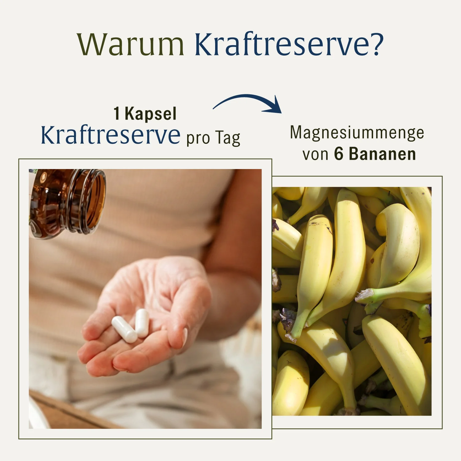 Kraftreserve: Magnesium-Komplex hochdosiert - Image 6