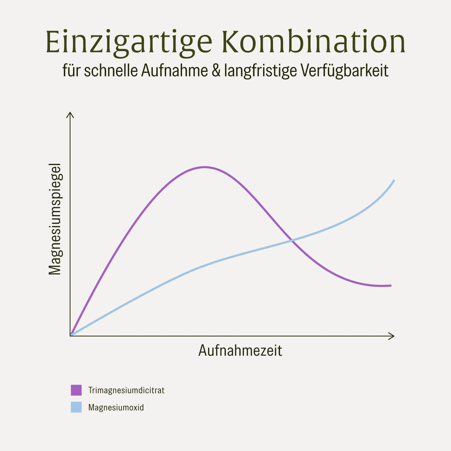 Kraftreserve: Magnesium-Komplex hochdosiert - Image 9
