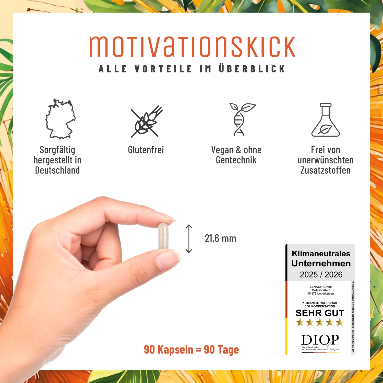 Motivationskick: L-Tyrosin-Komplex mit L-Tryptophan & L-Phenylalanin - Image 6