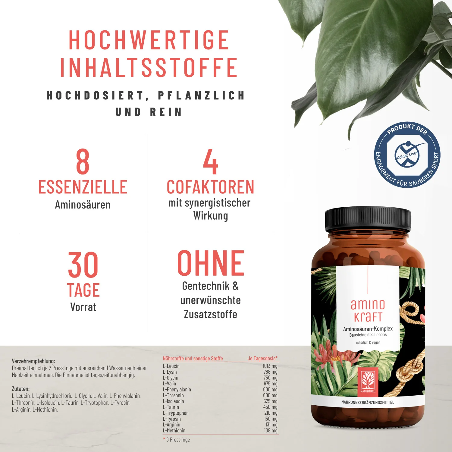Sport-Paket: Kraftreserve & Aminokraft - Image 2