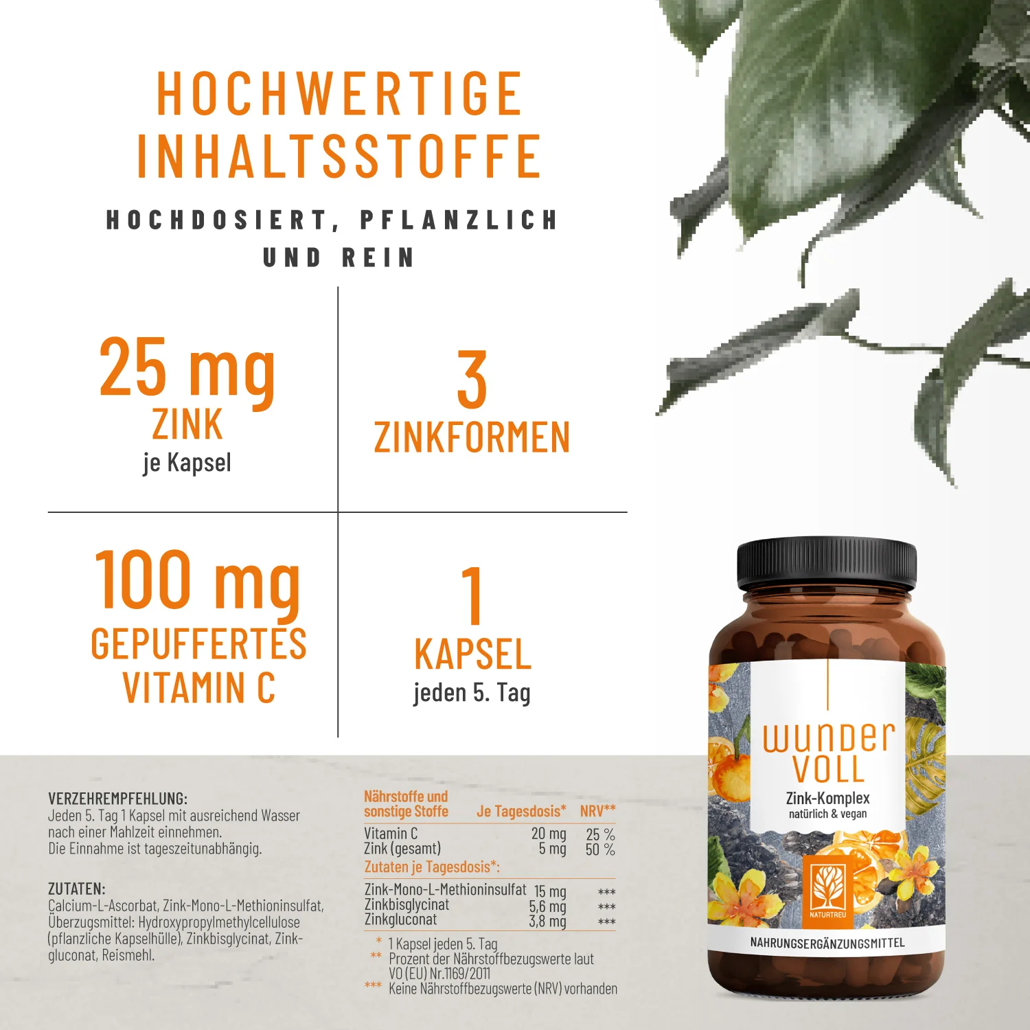 Wundervoll: Zink-Komplex Kapseln - Image 2