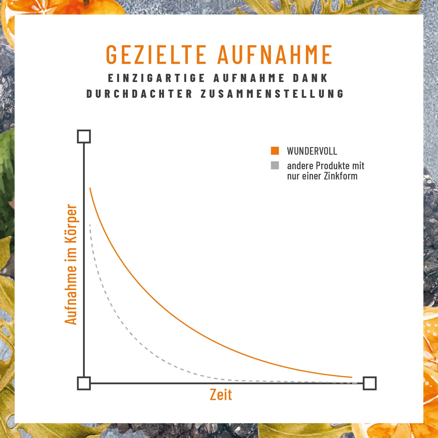 Wundervoll: Zink-Komplex Kapseln - Image 6