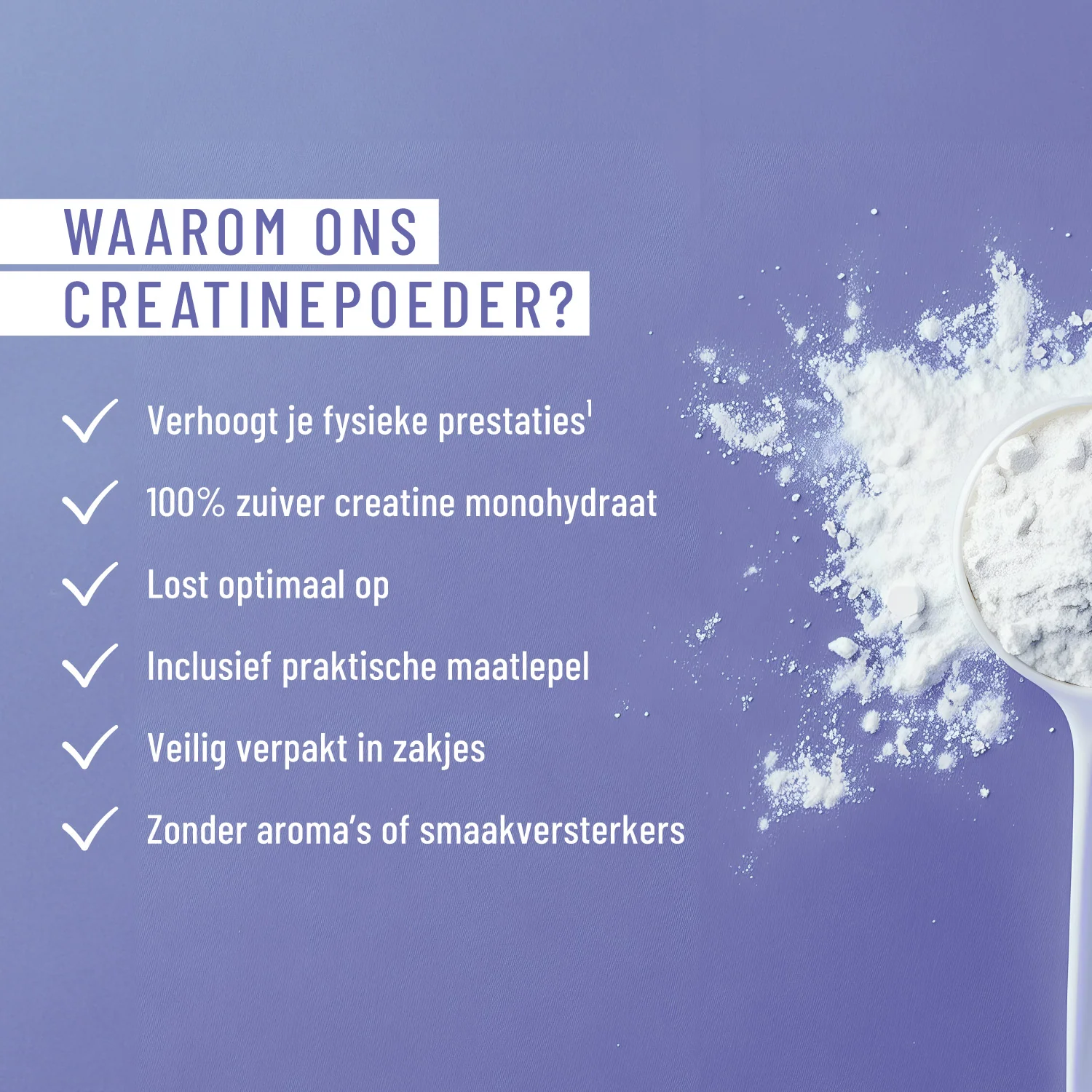 Creatine Source: 200-mesh creatine monohydraat - Image 5
