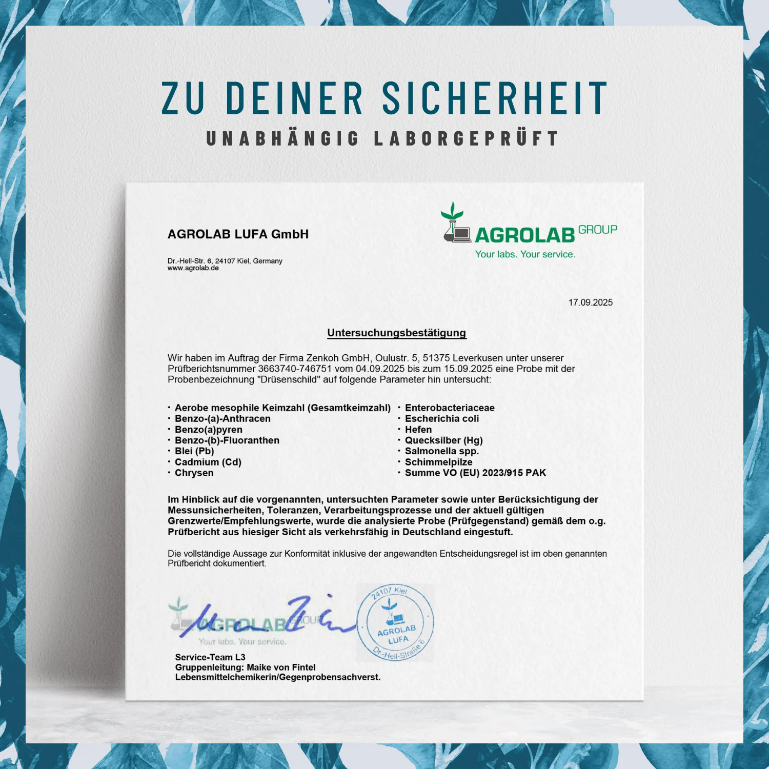 Drüsenschild: Schilddrüse-Komplex mit Jod & Selen - Image 8
