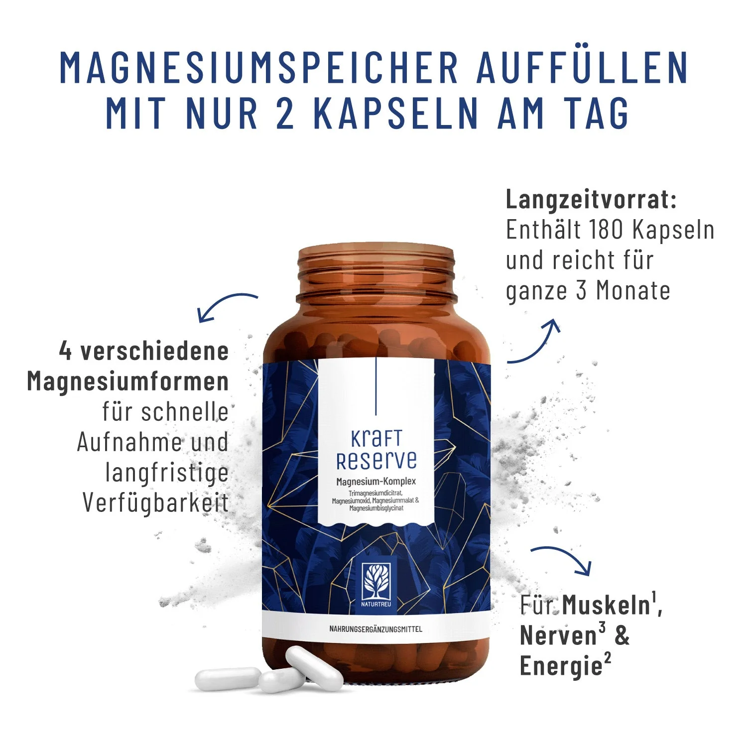 Durchstarter Paket: Magnesium & Vitamin B-Komplex & Omega-3 - Image 3