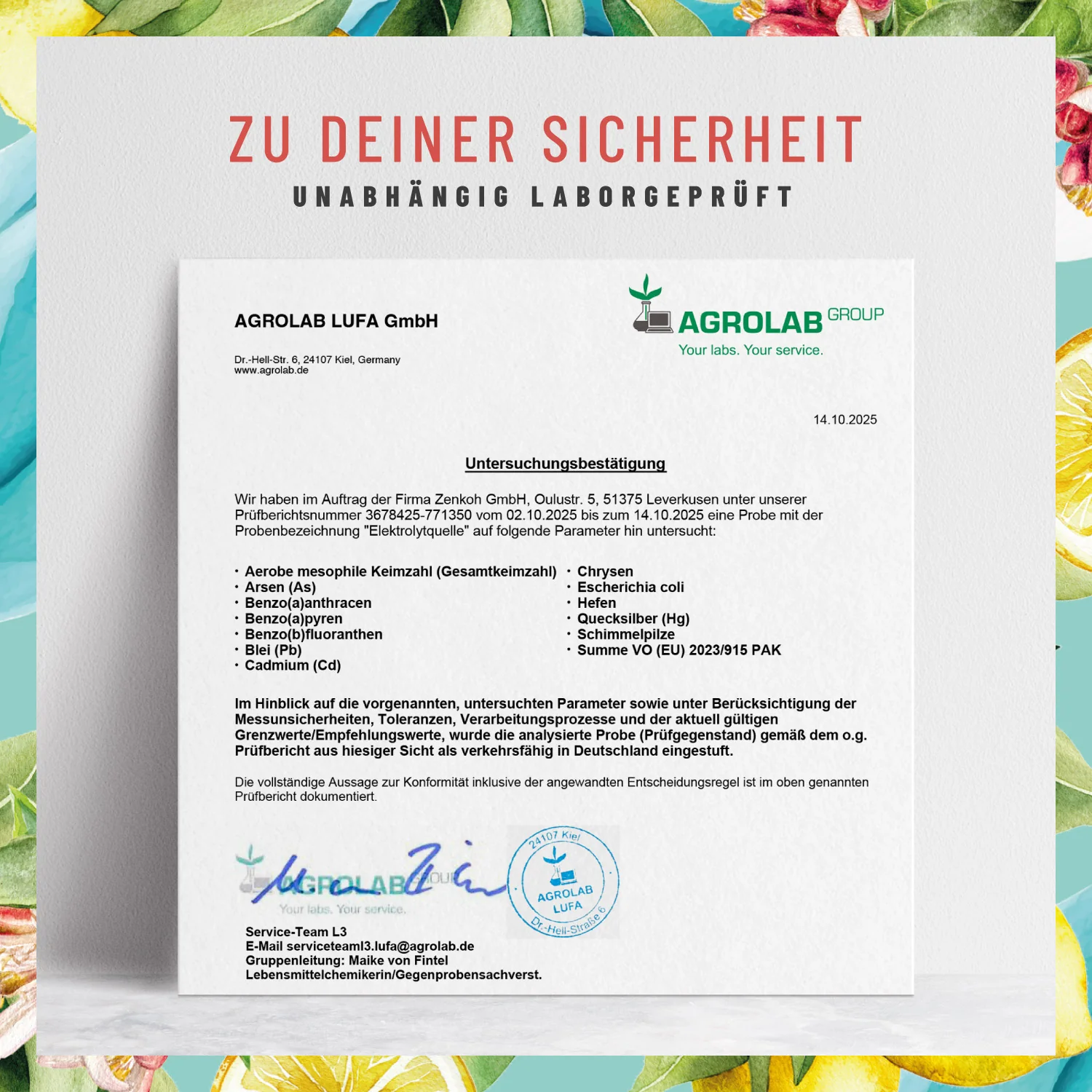 Elektrolytquelle: Elektrolyt Komplex mit L-Glutamin, Taurin & Zink - Image 11