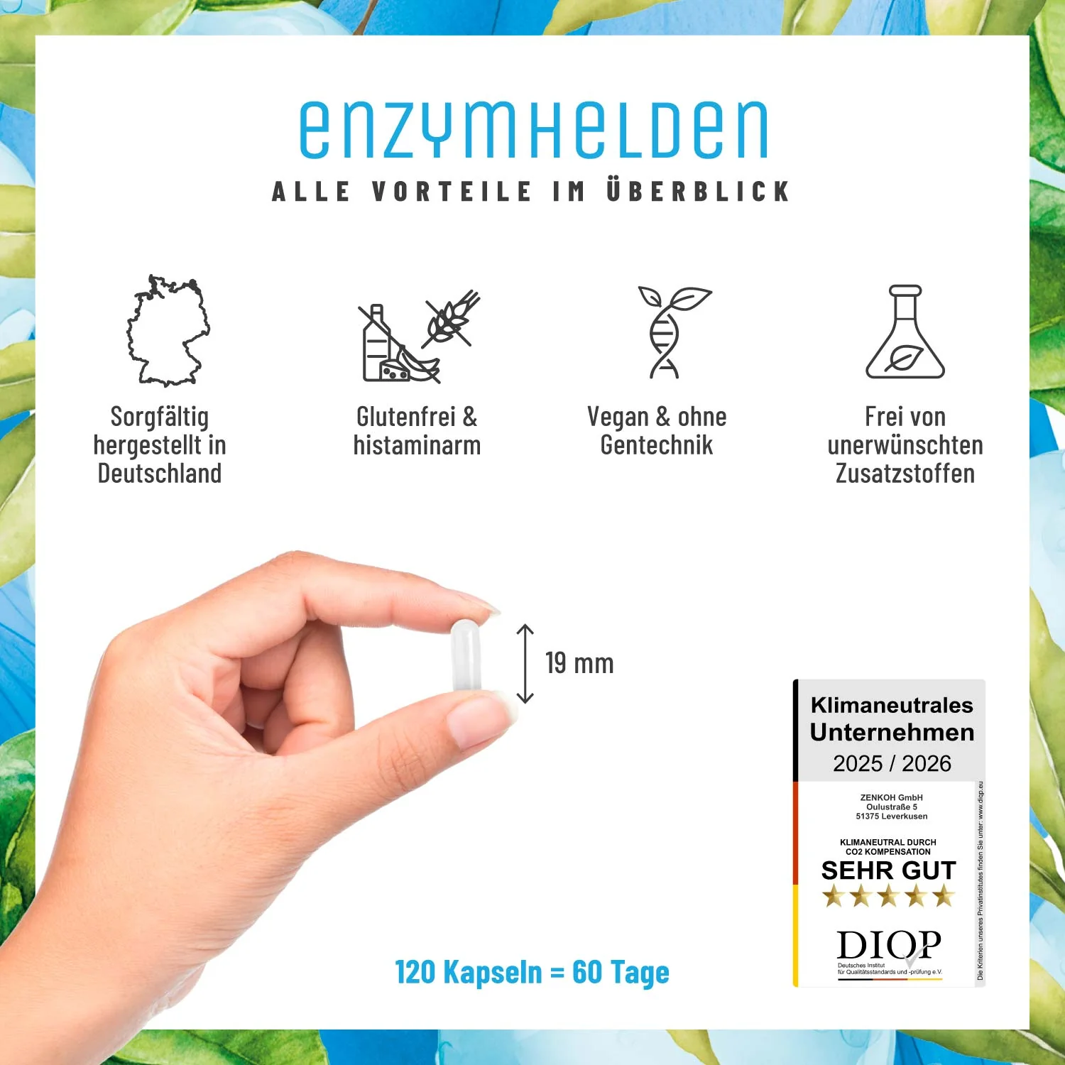 Enzymhelden: Enzym-Komplex mit Protease, Amylase, Lipase & Phytase - Image 8