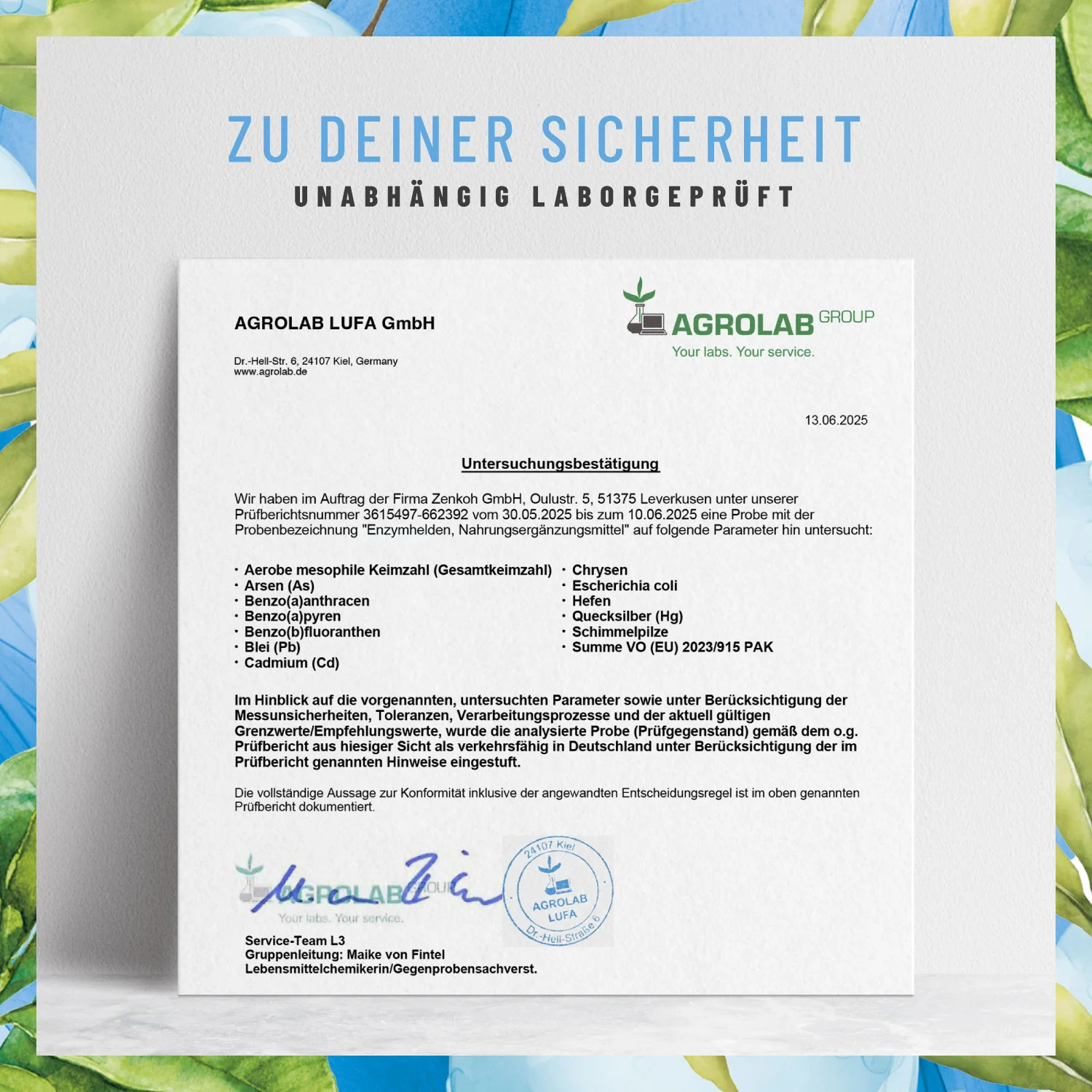 Enzymhelden: Enzym-Komplex mit Protease, Amylase, Lipase & Phytase - Image 9