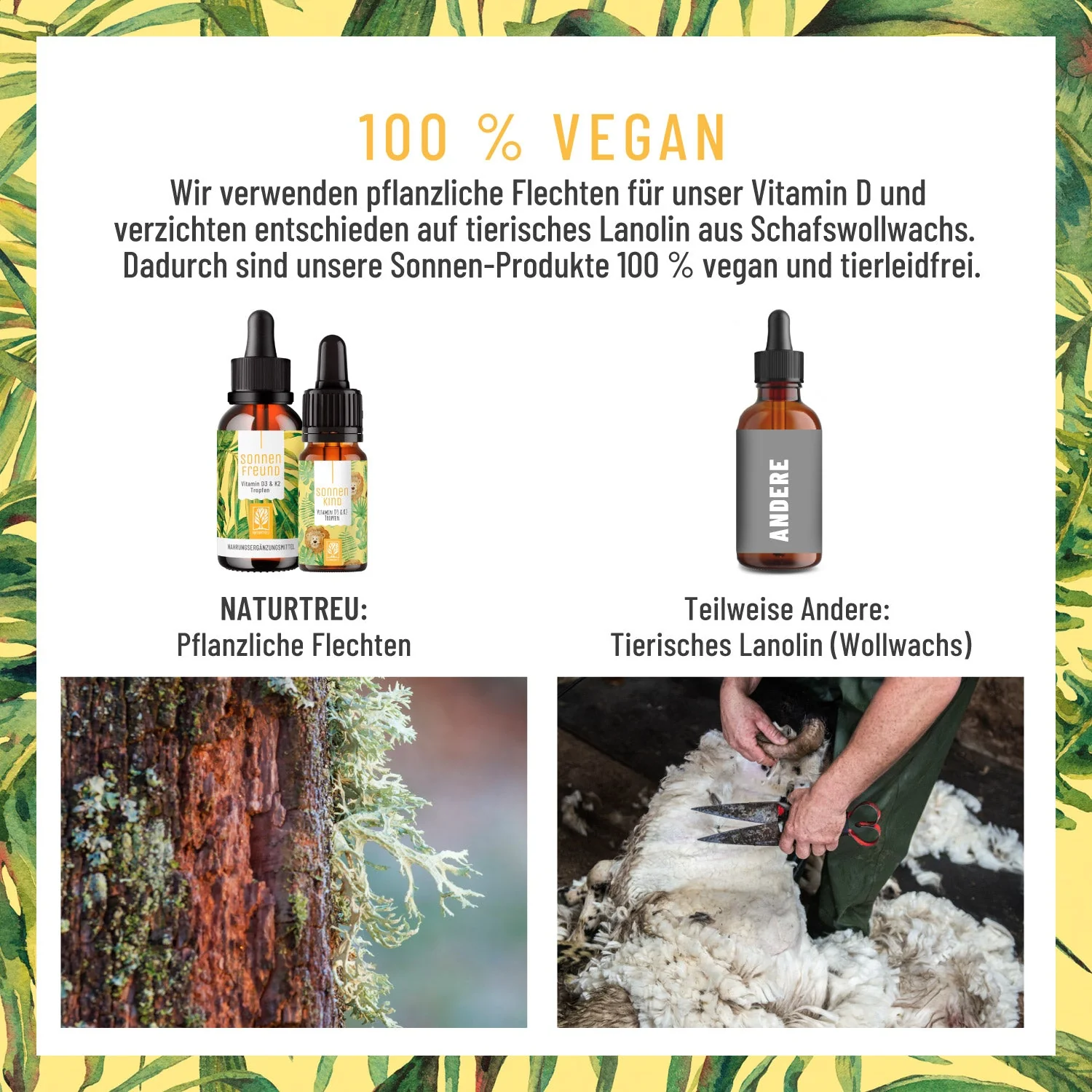 Familienstrahlen-Paket: Vitamin D3 & K2 für Groß und Klein - Image 4
