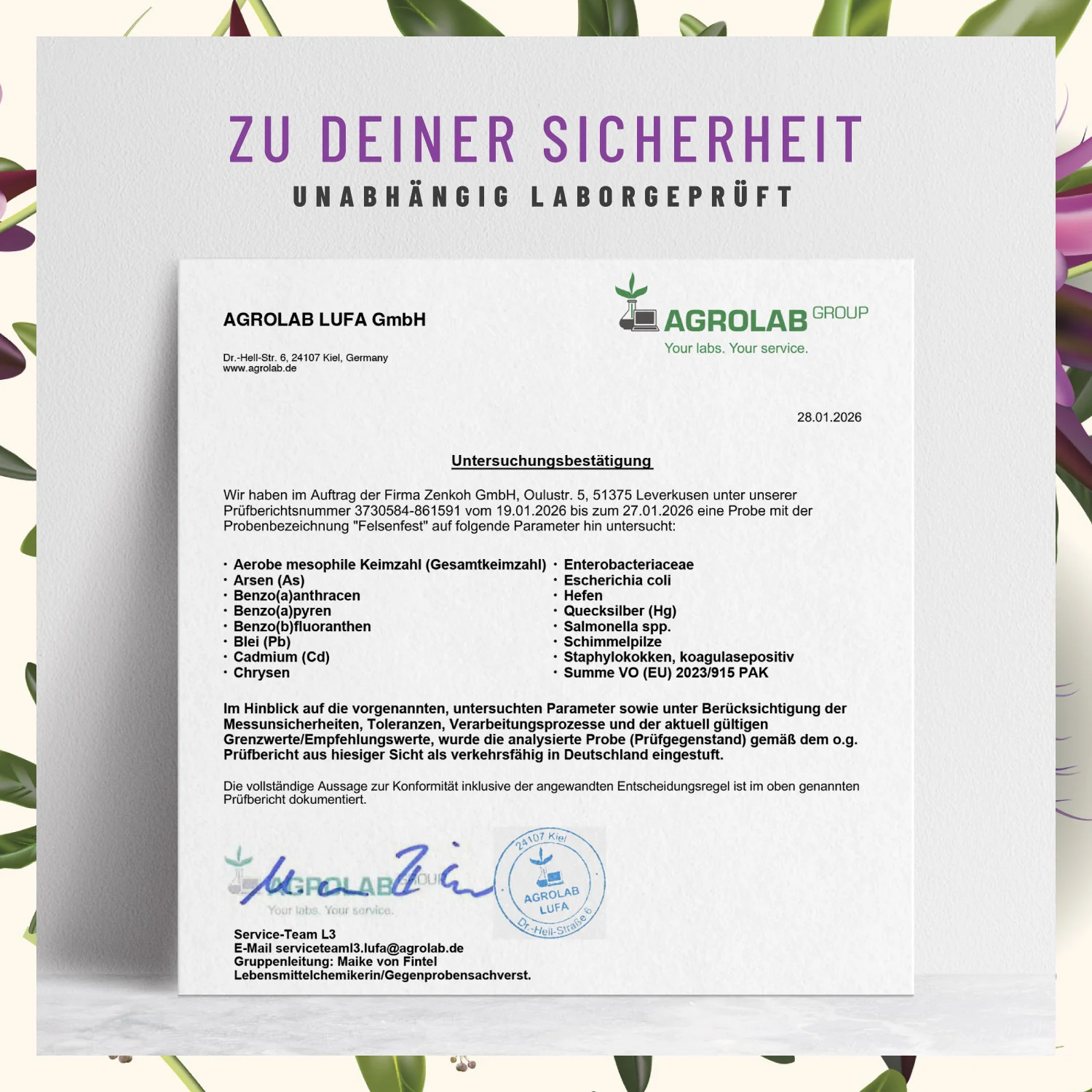 Felsenfest: Johanniskraut Baldrian Passionsblume Komplex - Image 8