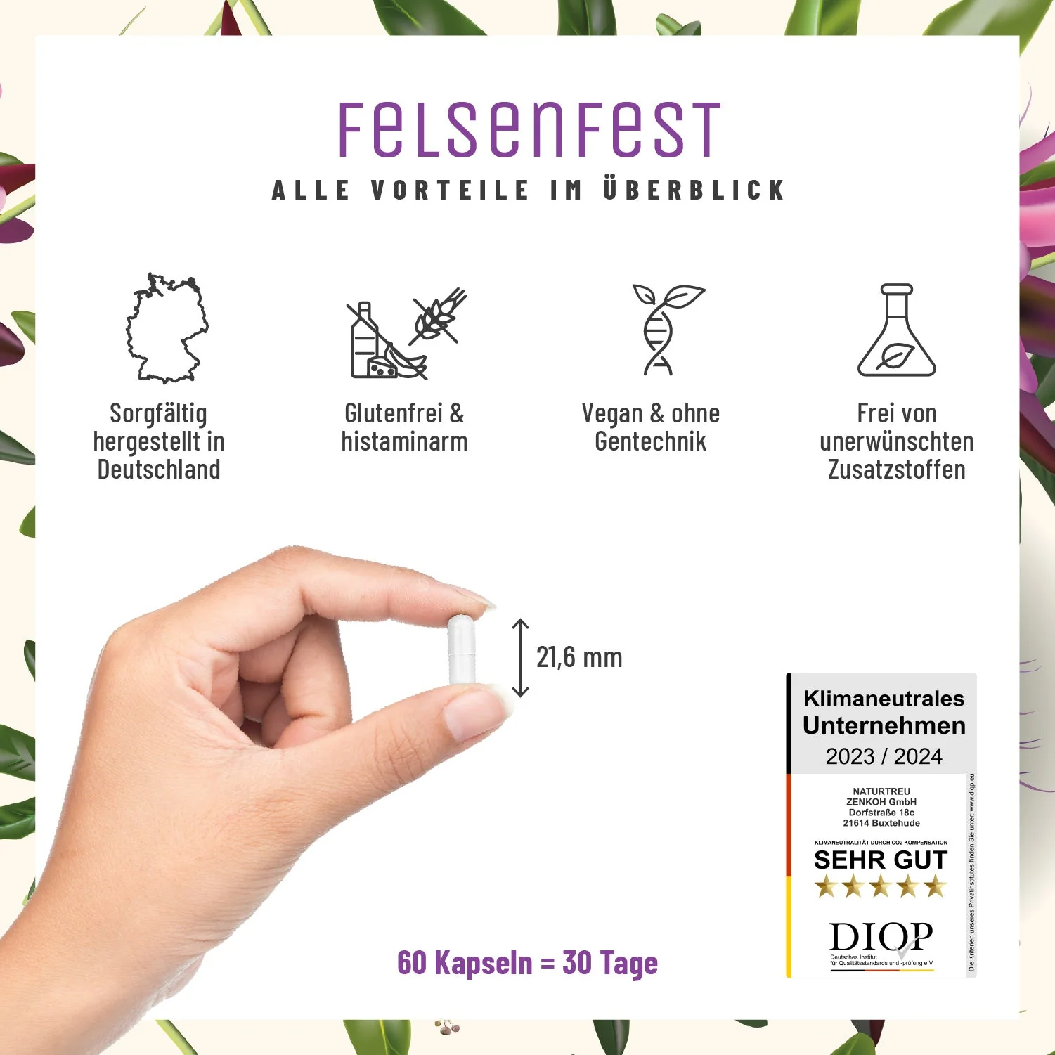Felsenfest Small: Johanniskraut Baldrian Passionsblume Komplex - Image 6