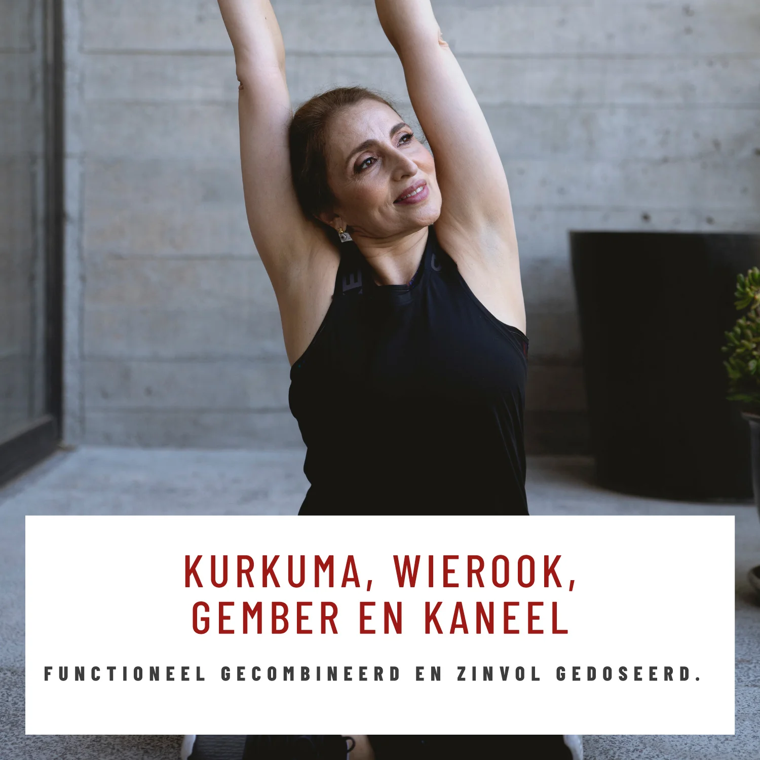 Fire Ease: Kurkuma-wierrook-complex met gember en kaneel - Image 3