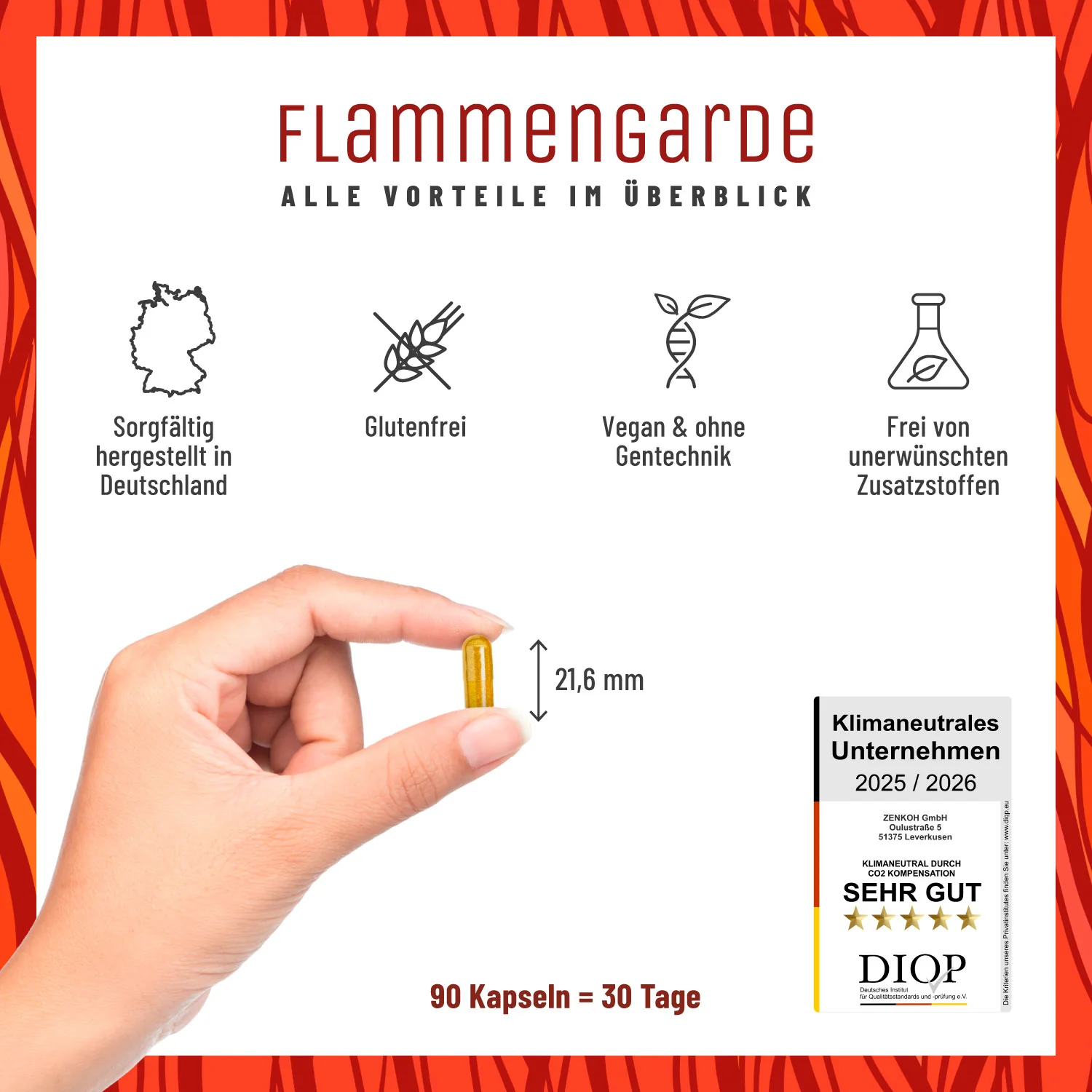 Flammengarde: Kurkuma Weihrauch Komplex mit Ingwer und Zimt - Image 6