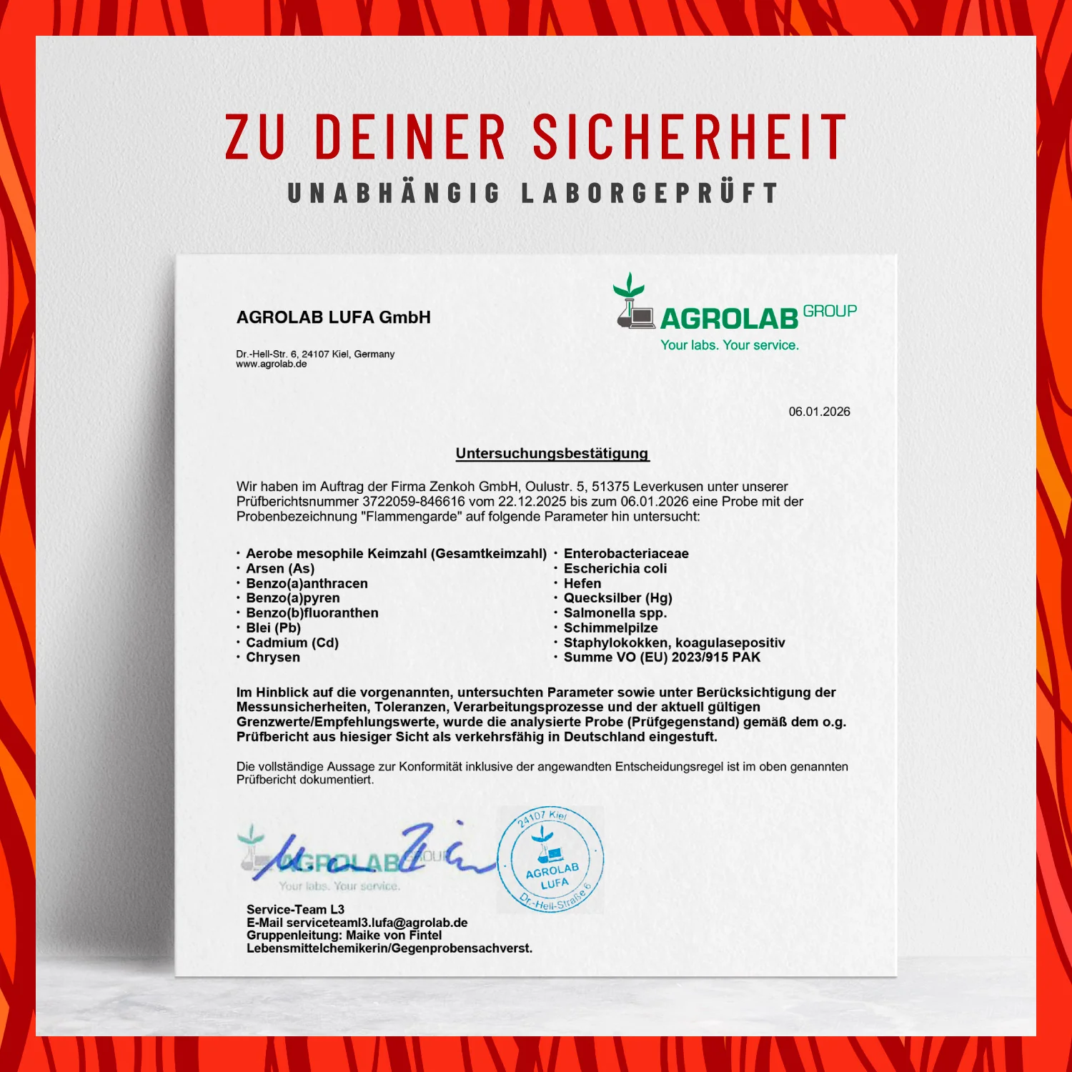 Flammengarde: Kurkuma Weihrauch Komplex mit Ingwer und Zimt - Image 8