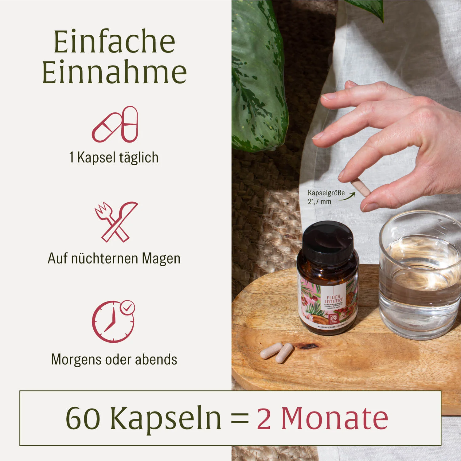 Floraintima: Milchsäurebakterien mit Cranberry & Vitamin B3 - Image 6