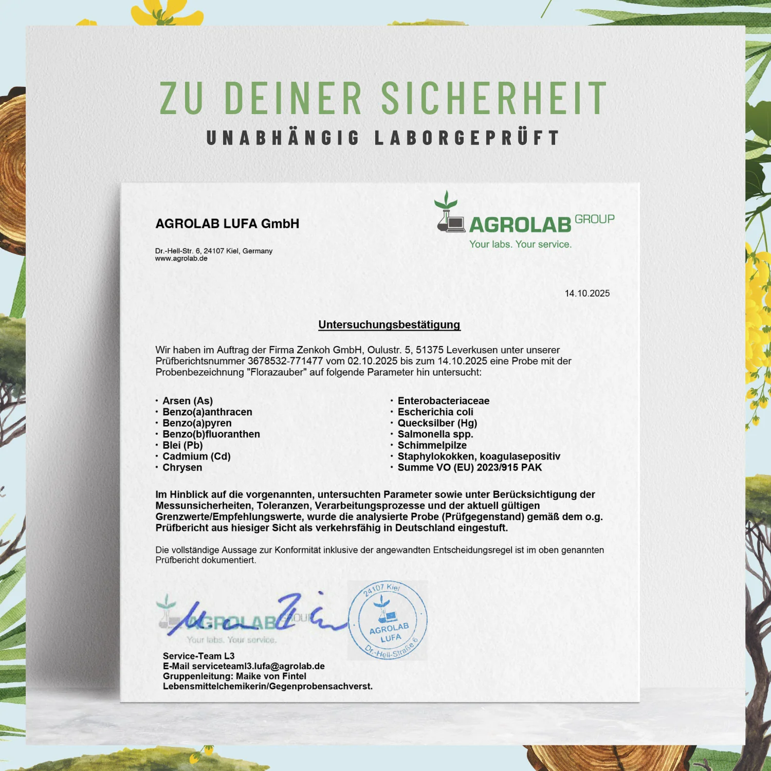 Florazauber: Kulturen-Komplex für den Darm* - Image 8