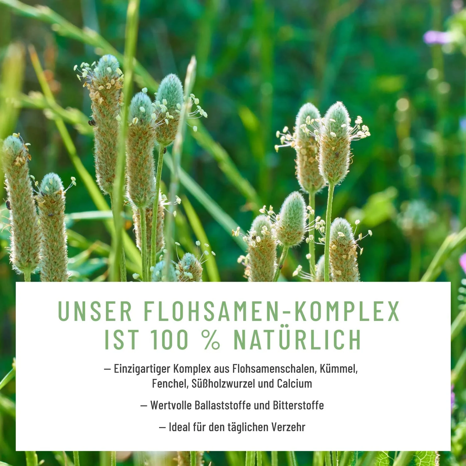 FLORA-KUR Paket - Image 4