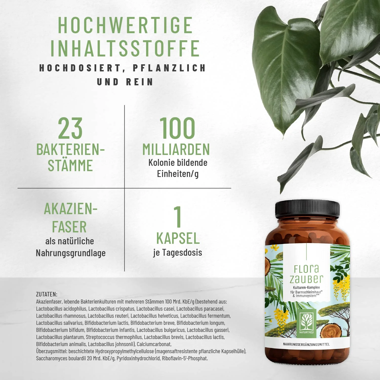 Florazauber Small: Kulturen-Komplex für Darmschleimhaut* & Immunsystem** - Image 2