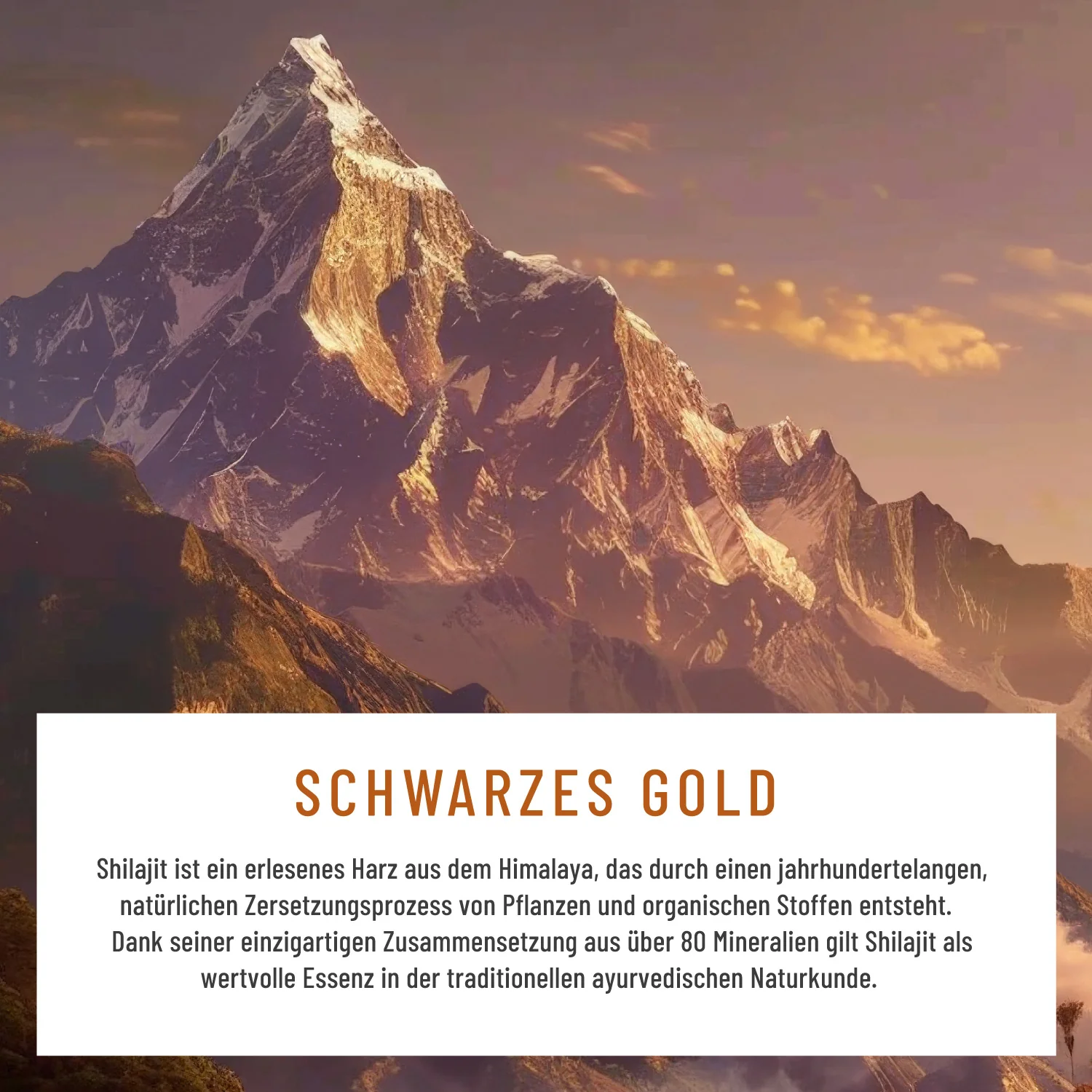 Gebirgskraft: Shilajit Kapseln mit Taurin, Ginseng, Schisandra & Zink - Image 7