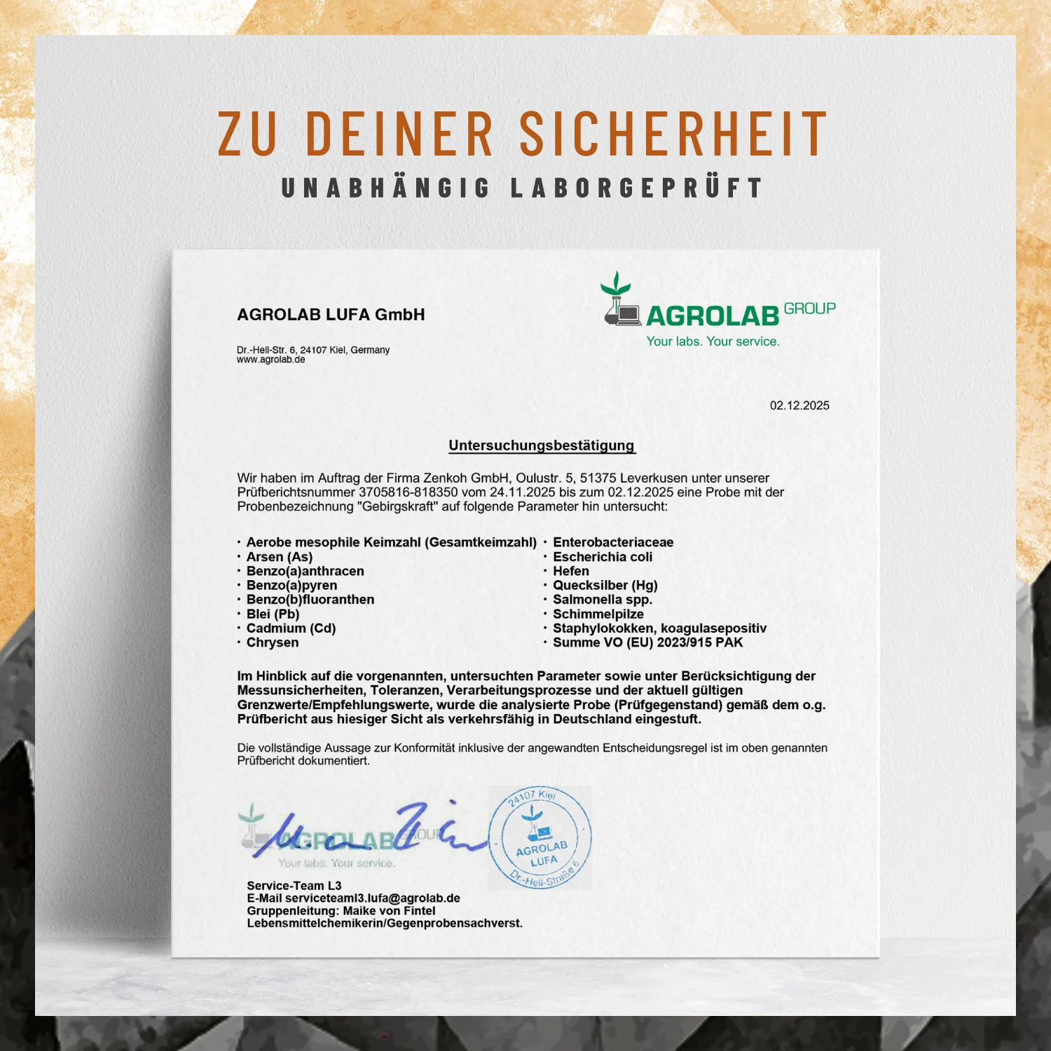 Gebirgskraft: Shilajit Kapseln mit Taurin, Ginseng, Schisandra & Zink - Image 8