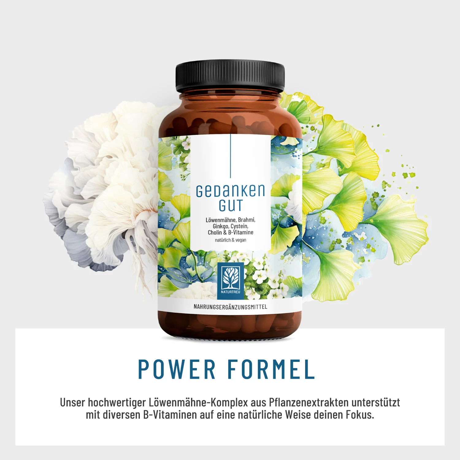Gedankengut: Löwenmähne, Brahmi, Ginkgo, Cystein, Cholin & B-Vitamine - Image 7