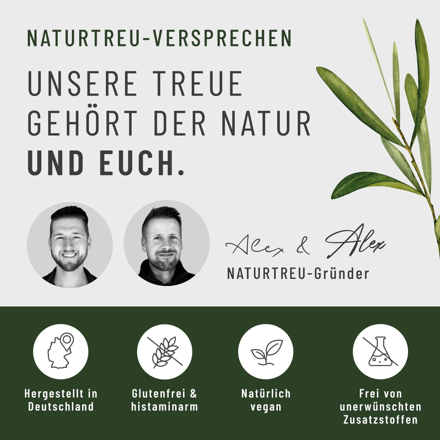 Gerstengras: Bio-Gerstengras - Image 8