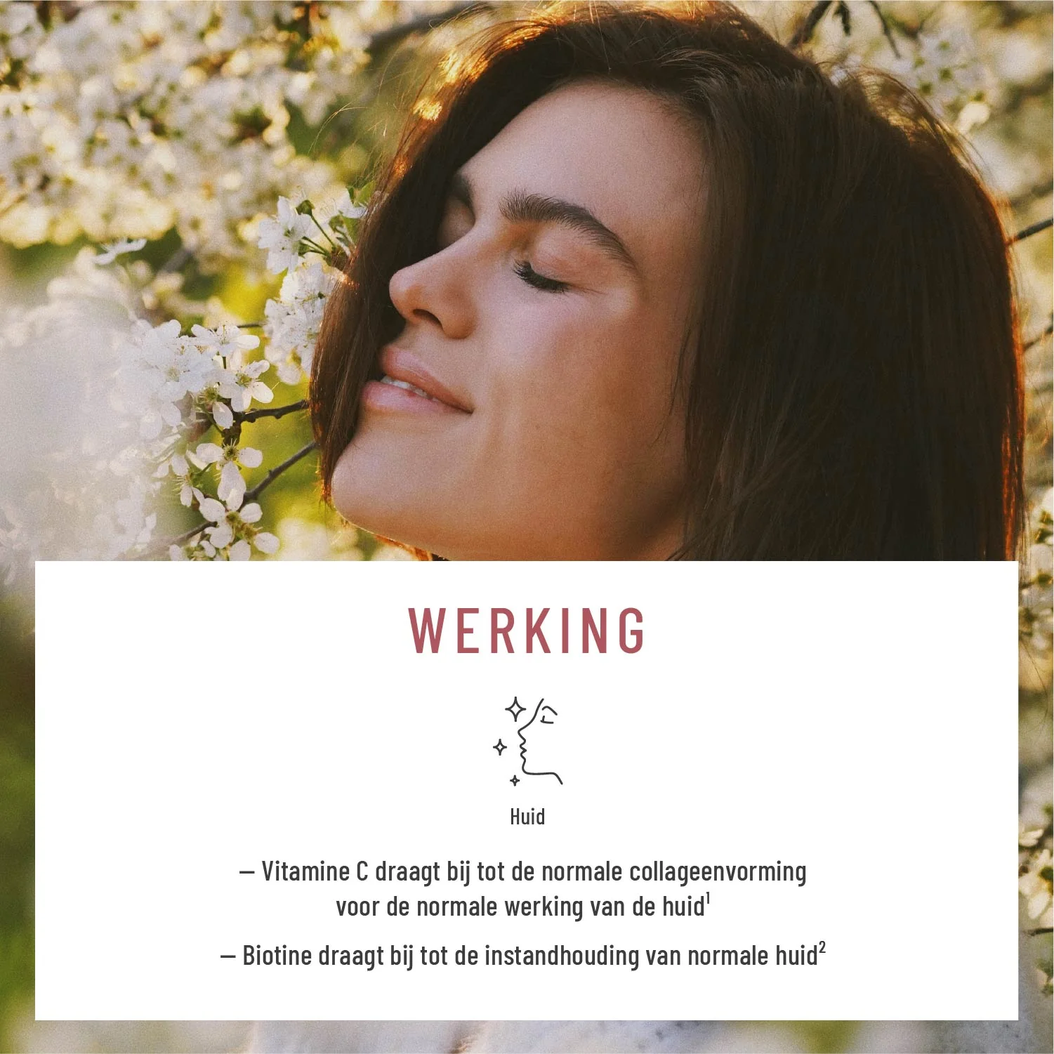 Glow Ritual: Veganistische ondersteuning van collageenvorming* met vitamine C, hyaluronzuur, Q10 en D-biotine - Image 4