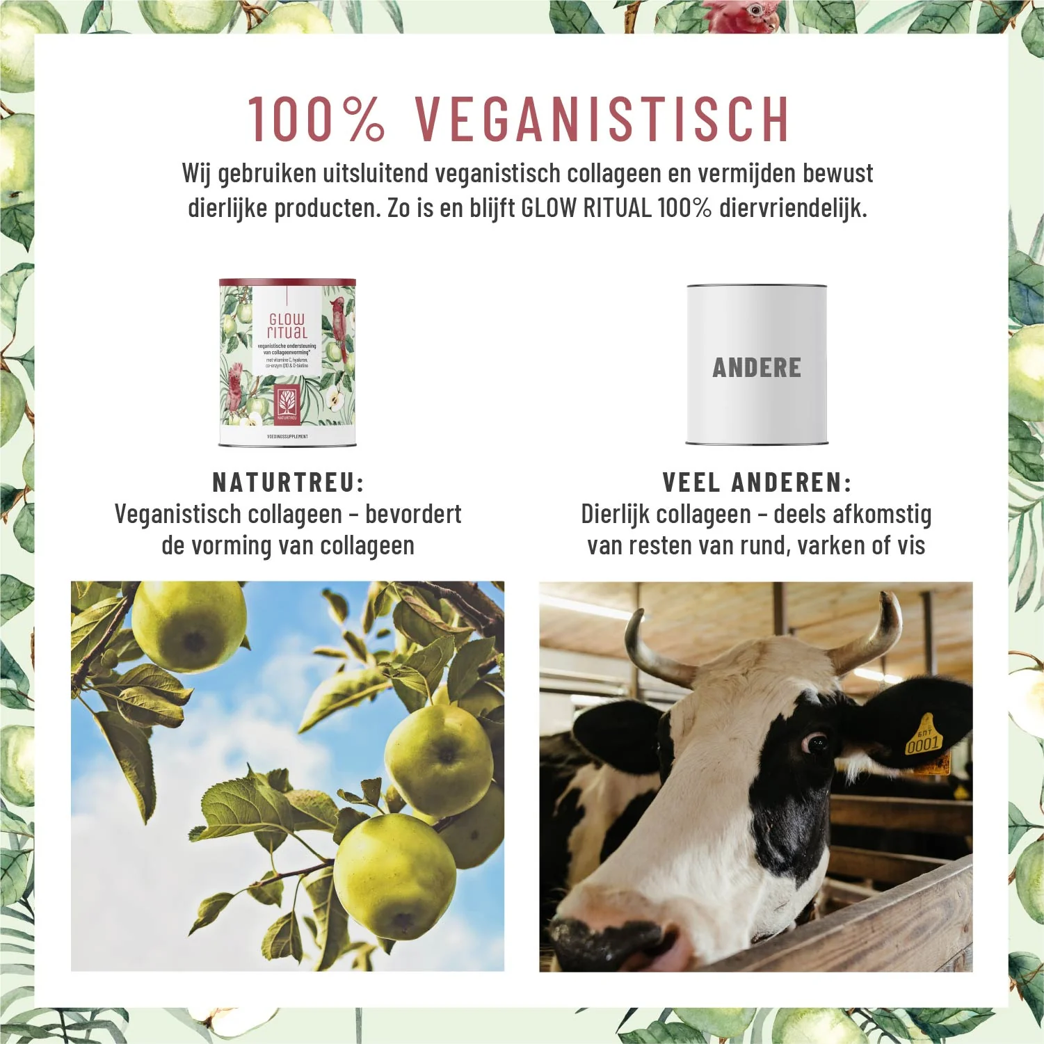 Glow Ritual: Veganistische ondersteuning van collageenvorming* met vitamine C, hyaluronzuur, Q10 en D-biotine - Image 6