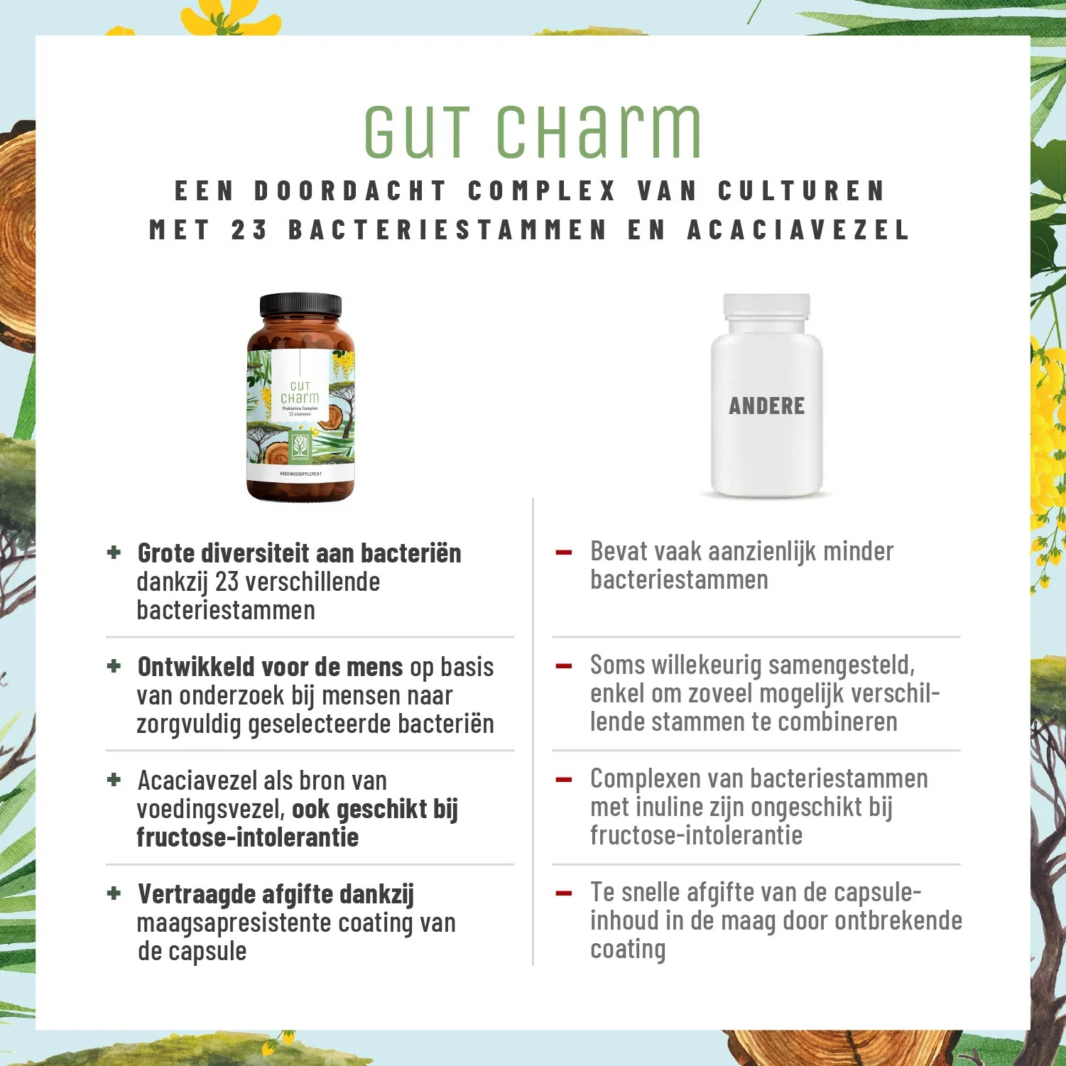 Gut Charm: Complex van bacterieculturen voor de darmen* - Image 4