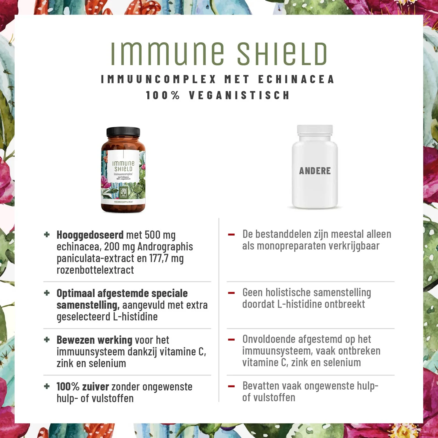Immune Shield: Immuuncomplex met echinacea - Image 4