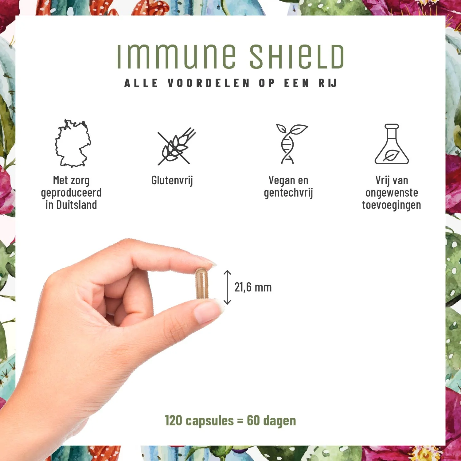 Immune Shield: Immuuncomplex met echinacea - Image 5