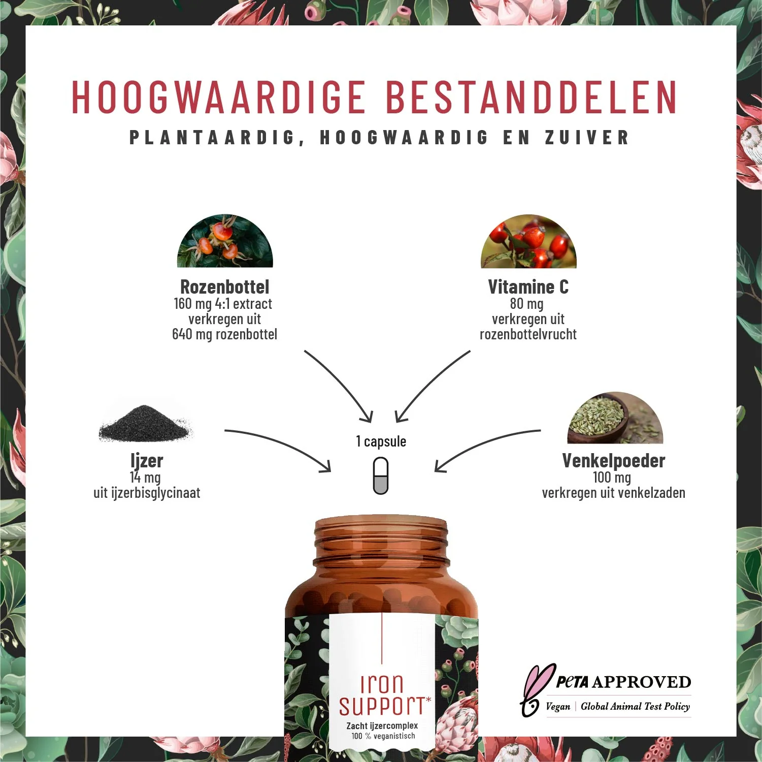 Iron Support: Ijzercomplex met venkel en cofactoren - Image 2